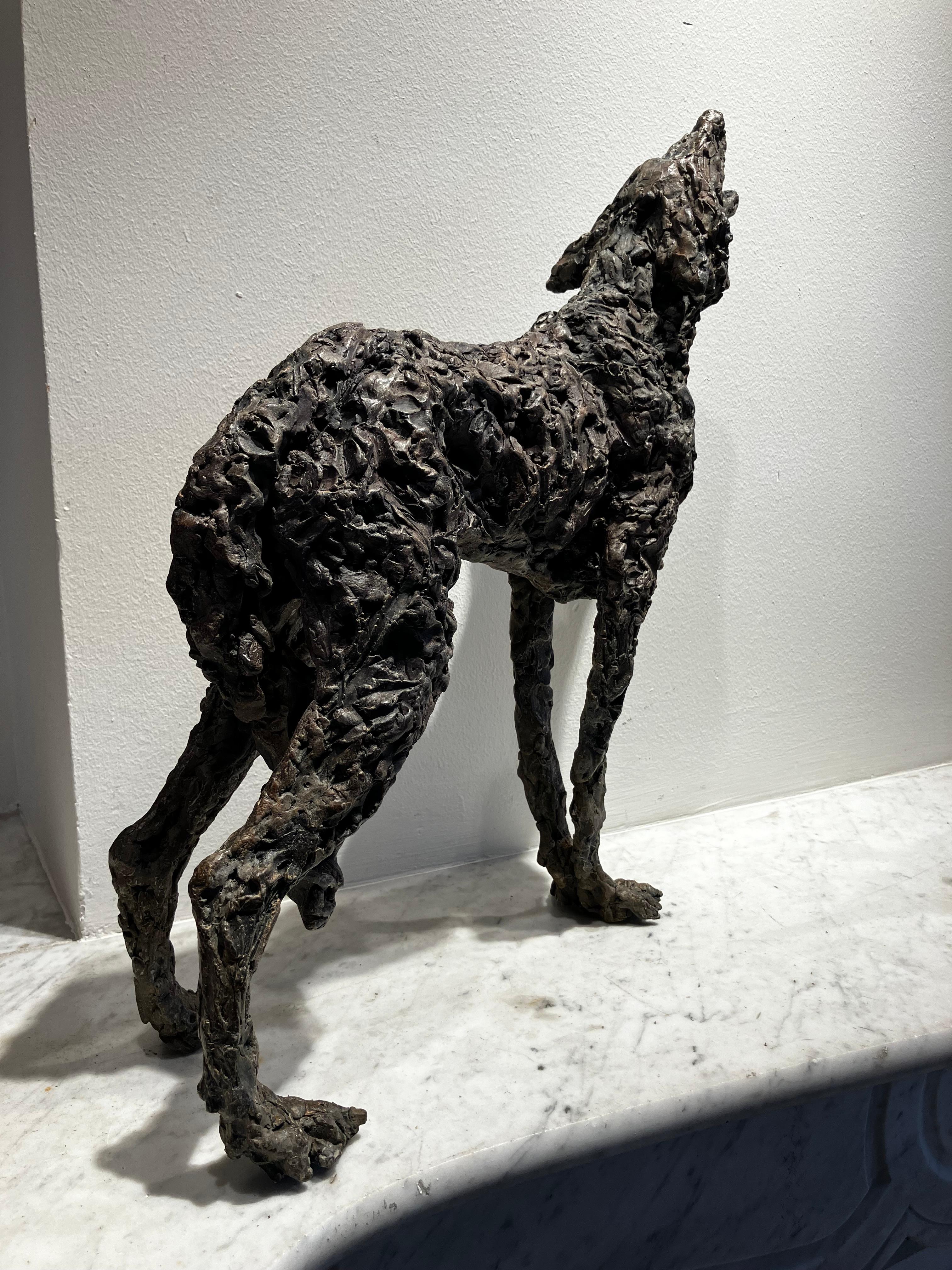 ''Lobo Lobo'' Escultura Contemporánea de Bronce Retrato de un Lobo 6