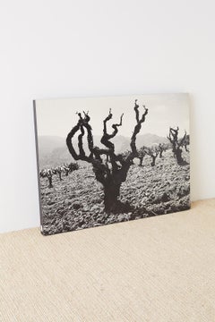 Ansel Adams Mounted Print Story of a Winery