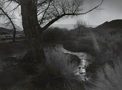 Ansel Adams. The Black Sun, Tungsten Hills, Owens Valley, California, 1939