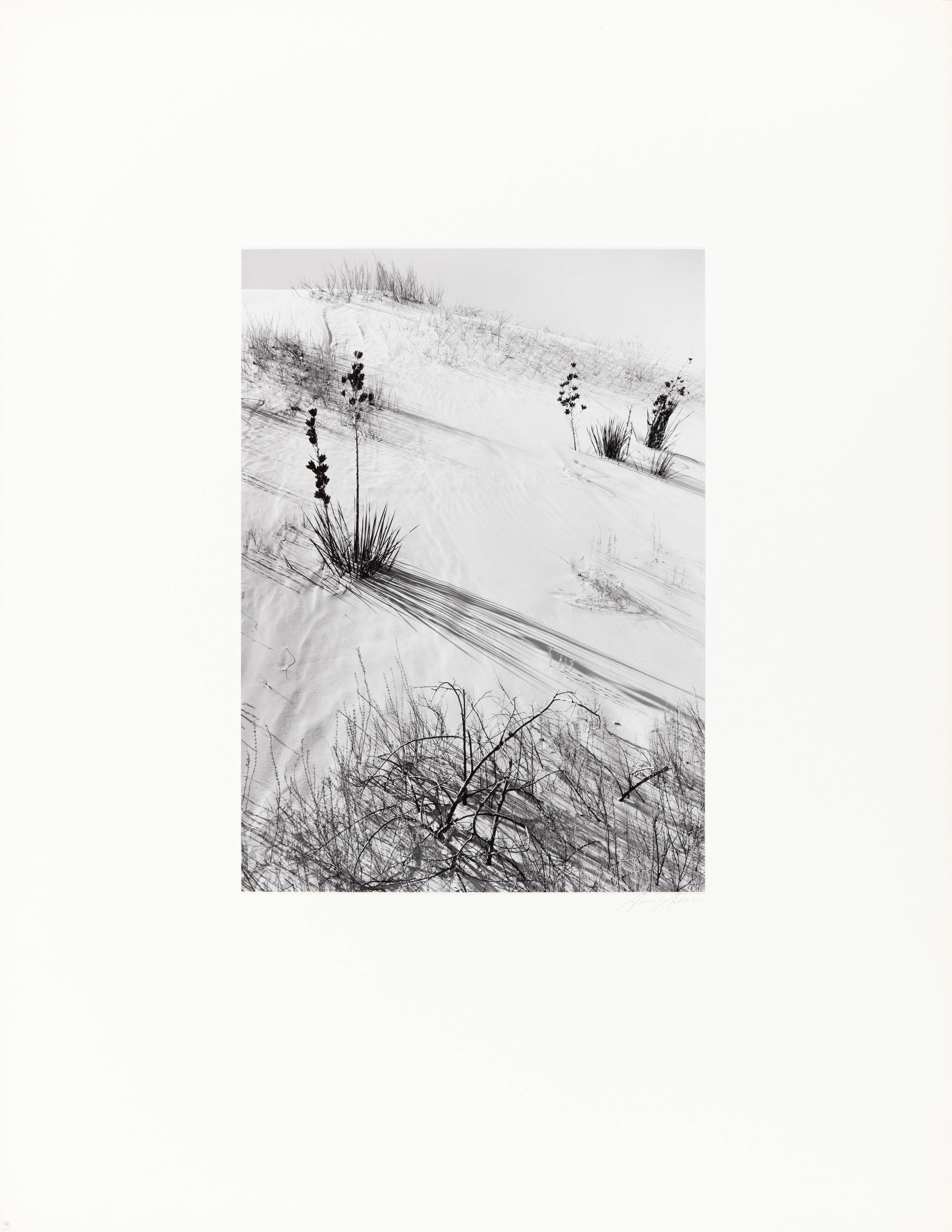 Dunes, soleil voilé, White Sands, Nouveau Mexique - Photograph de Ansel Adams