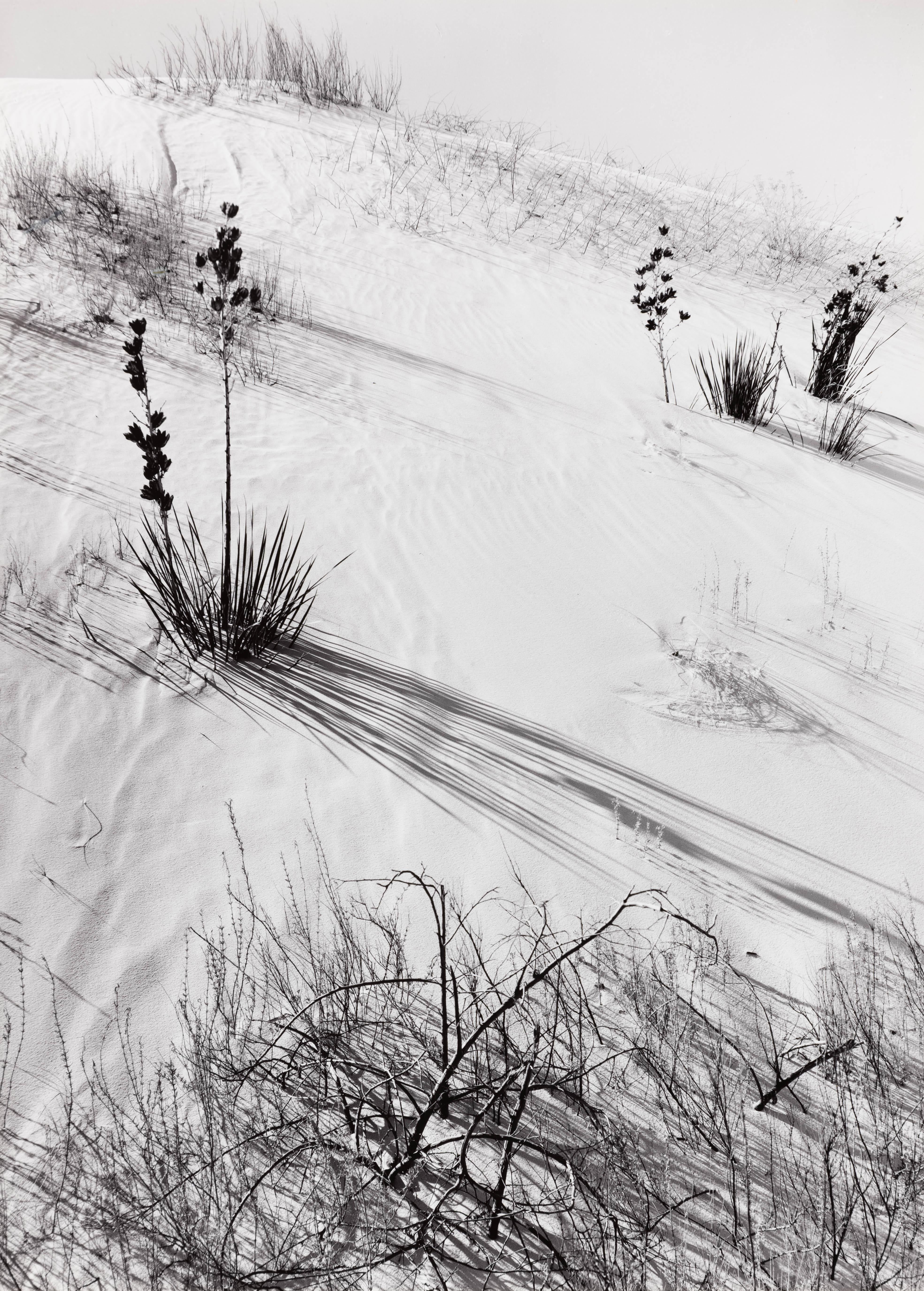 Dunes, Hazy Sun, Weiße Sande, New Mexico