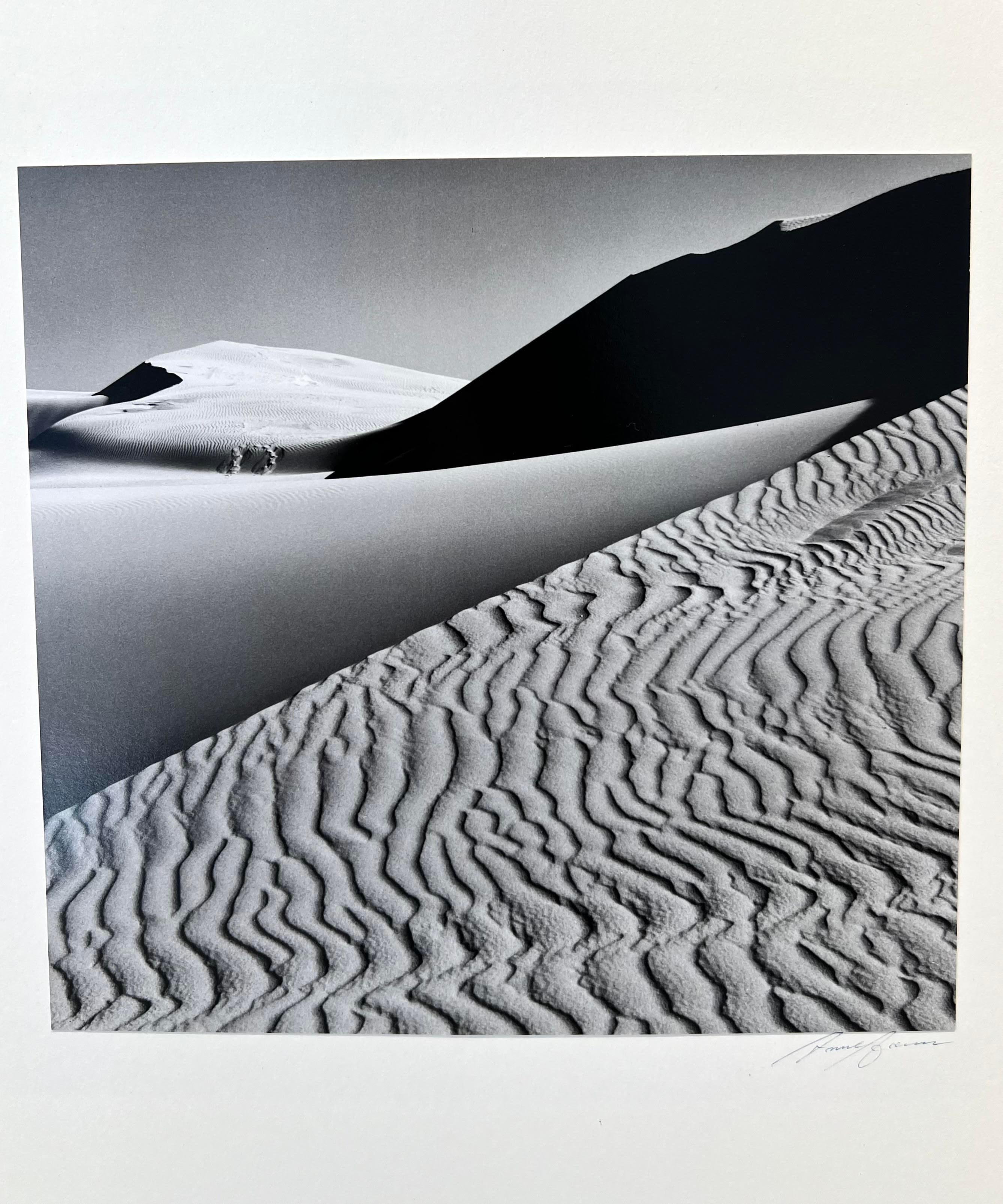 Numero 217. Dal Portfolio IV 