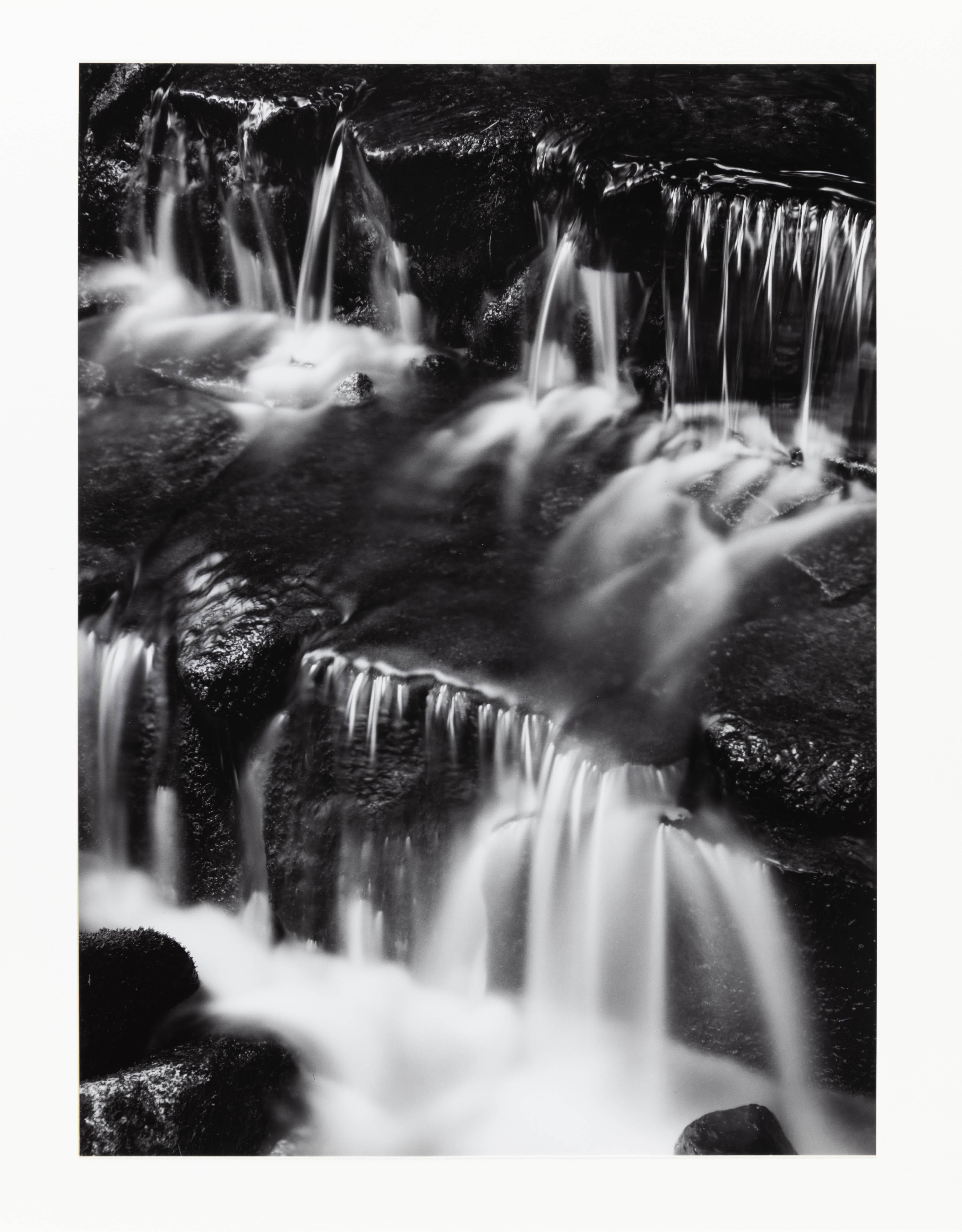 Fern Spring, crepuscolo, Yosemite - Photograph di Ansel Adams