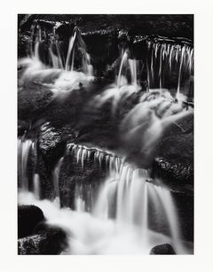 Fern Spring, crepuscolo, Yosemite