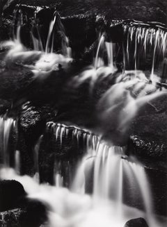 Fern Spring, Dusk, Yosemite