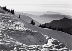 Da Hurricane Hill, Parco Nazionale Olymp, Washington