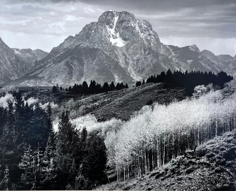 Ansel Adams Photography - 31 For Sale at 1stDibs | ansel adams photos, ansel  adams gallery, ansel adams originals
