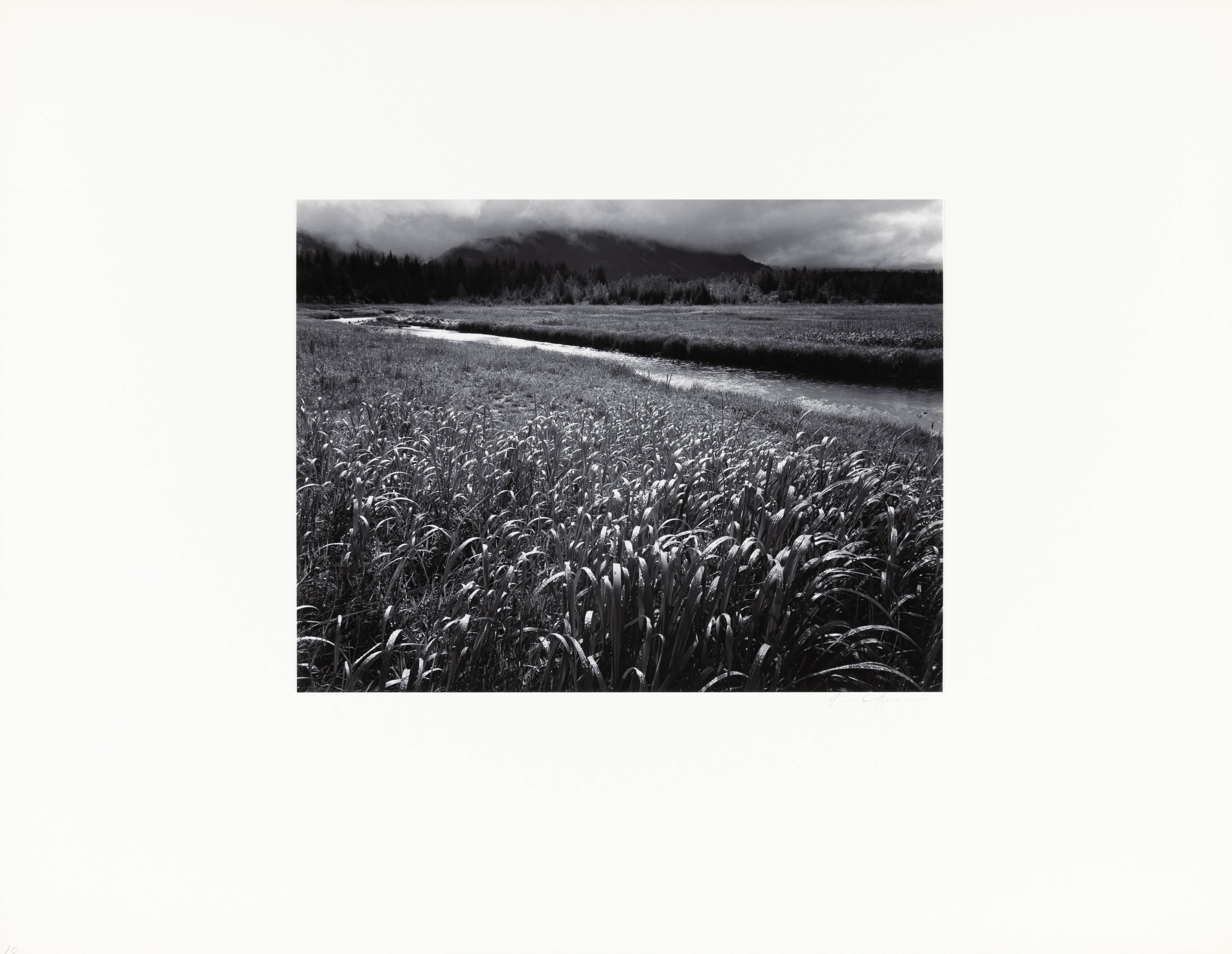 Pluie, Beartrack Cove, Glacier Bay National Monument, Alaska - Photograph de Ansel Adams