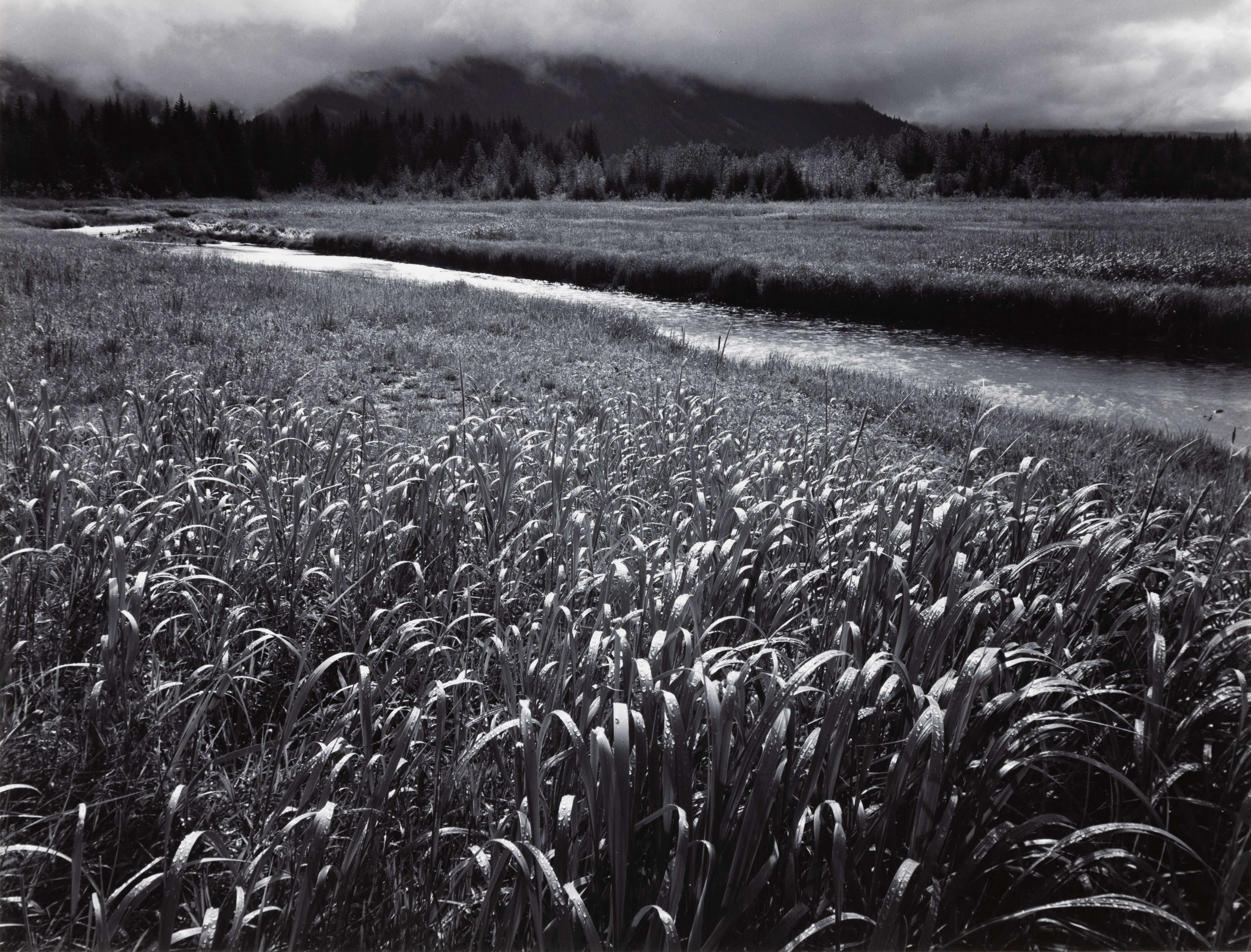 Landscape Photograph Ansel Adams - Pluie, Beartrack Cove, Glacier Bay National Monument, Alaska