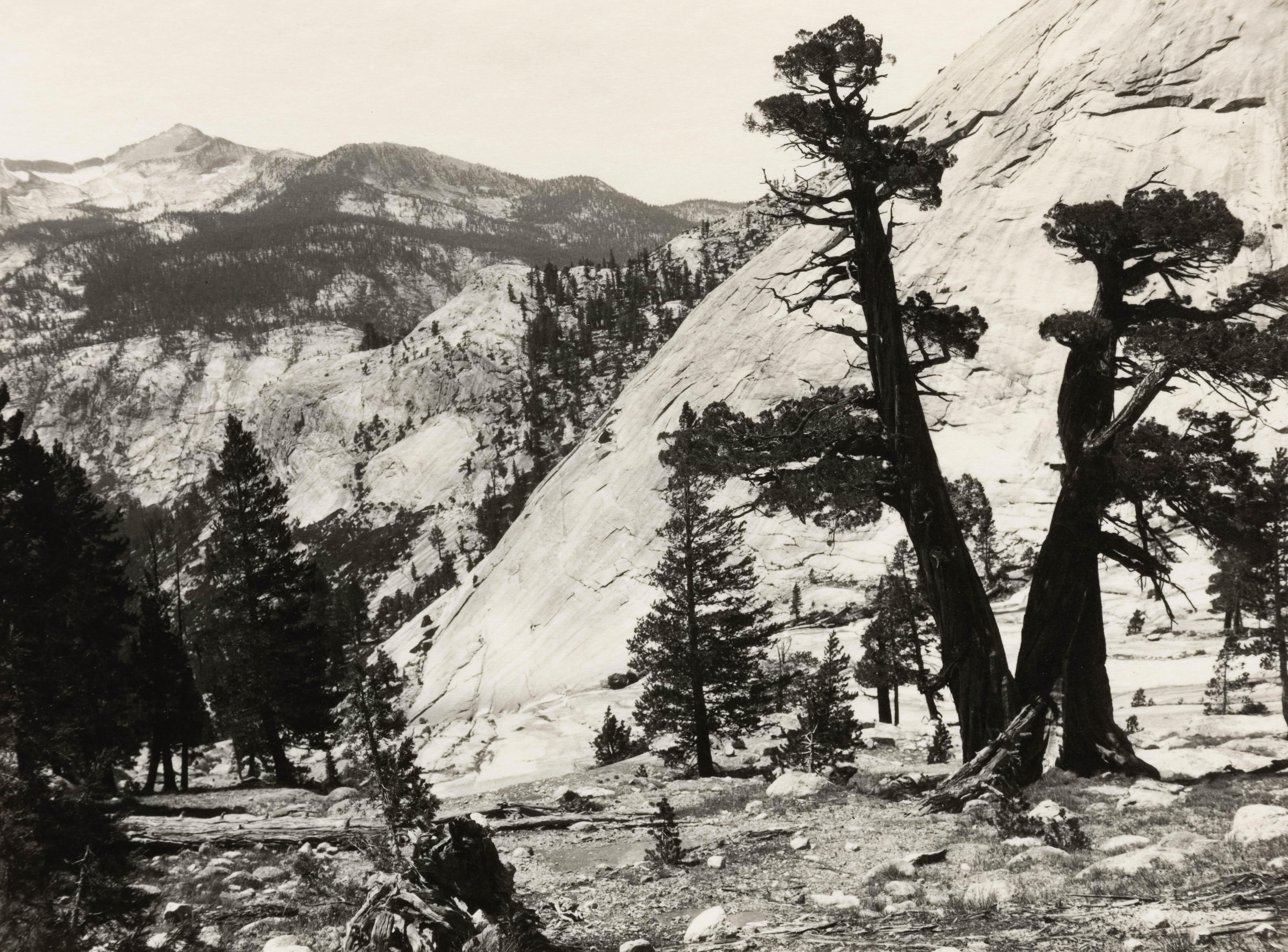 How do I know if my Ansel Adams print is real?