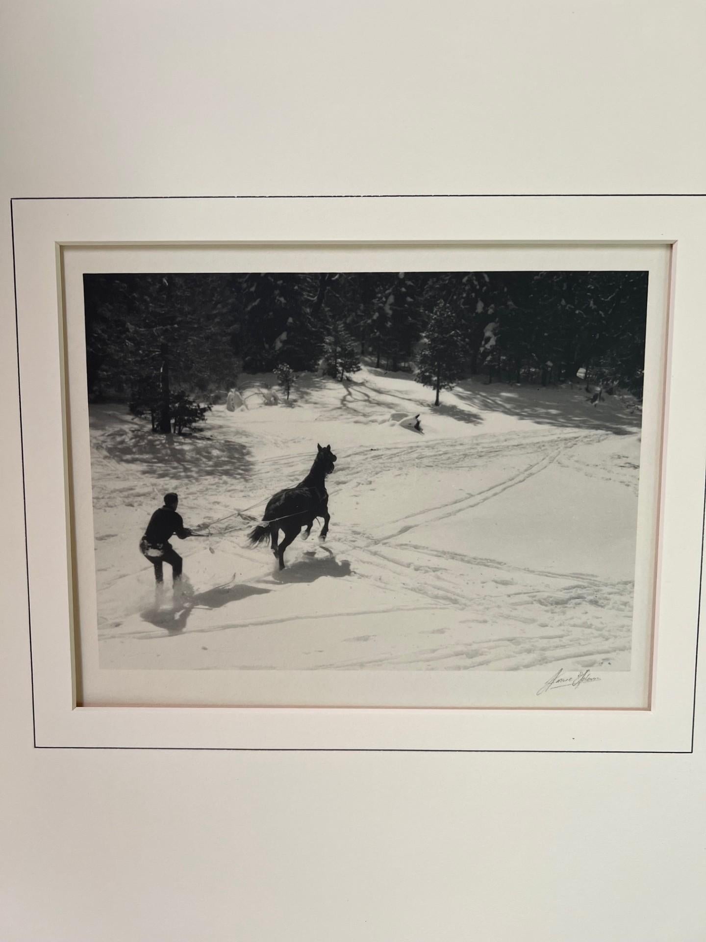 Sci Joring - Black and White Photograph Grigio di Ansel Adams
