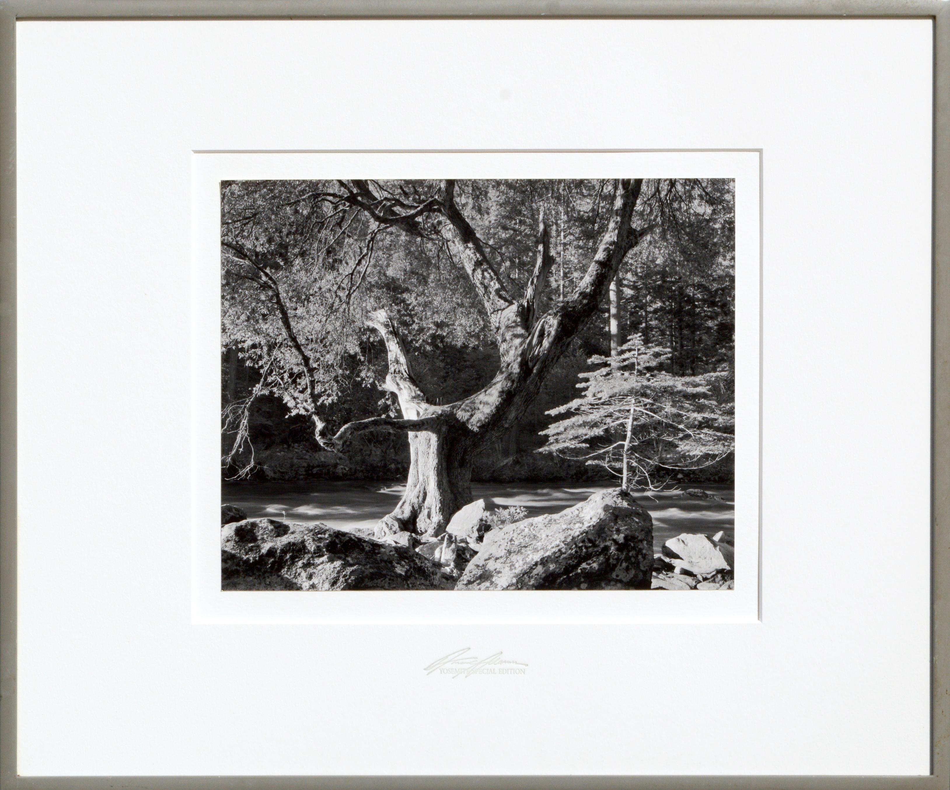 Ansel Adams Landscape Photograph - Morning Merced River Canyon Yosemite - Special Edition