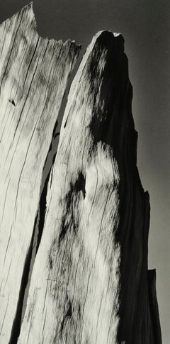 White Stump, Sierra Nevada, California