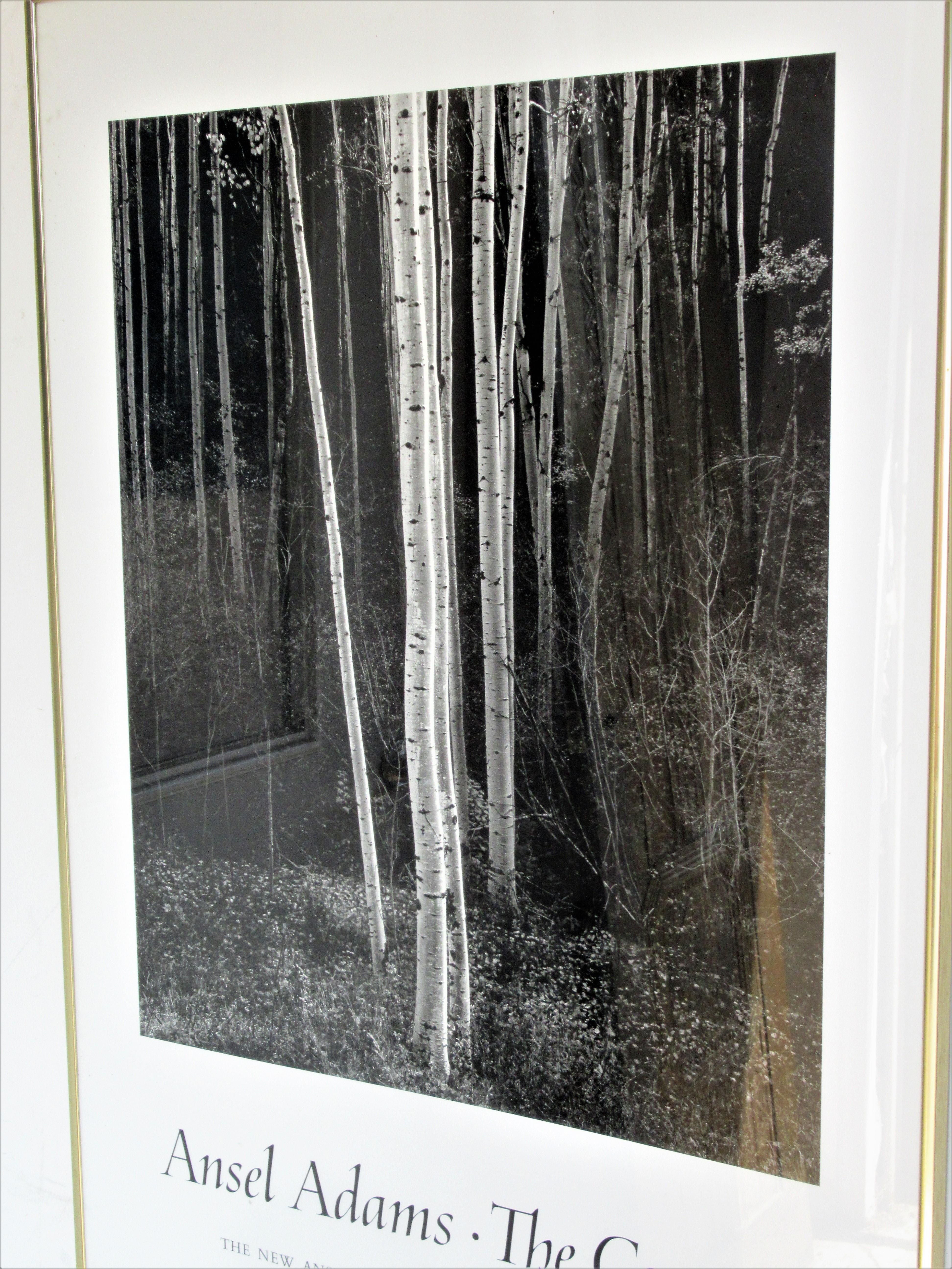 Ansel Adams, the camera, the New Ansel Adams Photography Series, Book I, authorized poster by the New York Graphic Society, Copyright 1981, The Trustees of the Ansel Adams Publishing Rights Trust. It is set in the original issued brushed golden