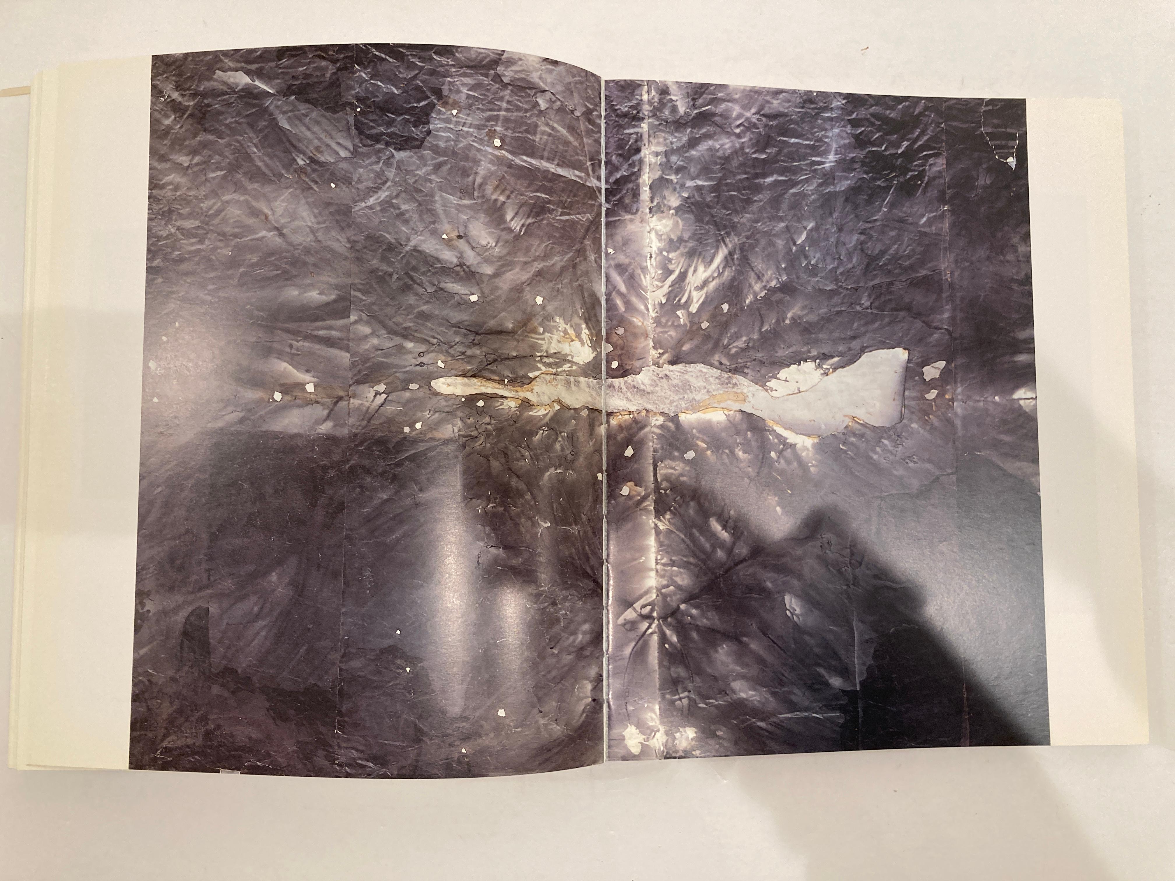 Livre d'art à collectionner d'Anselm Kiefer en vente 9