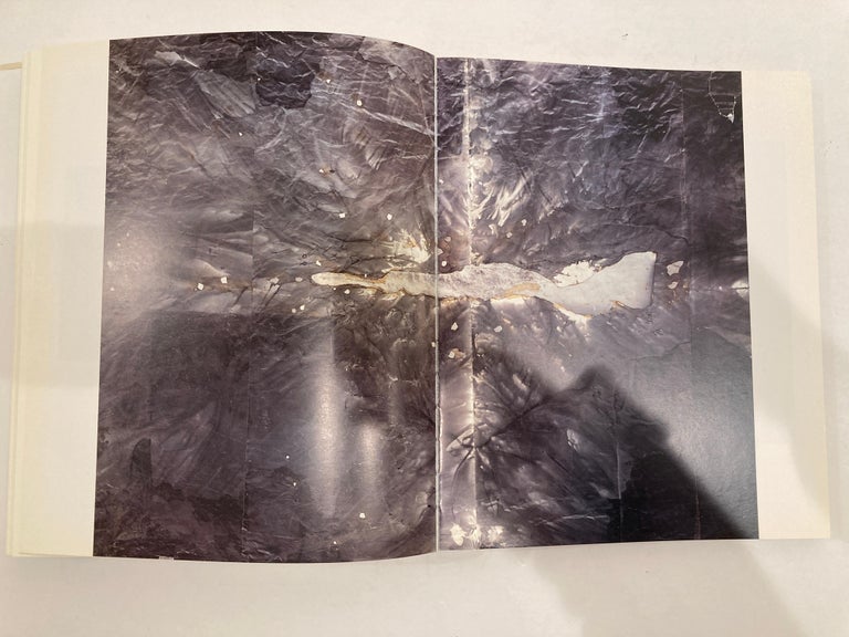Anselm Kiefer Collectible Art Book For Sale 10