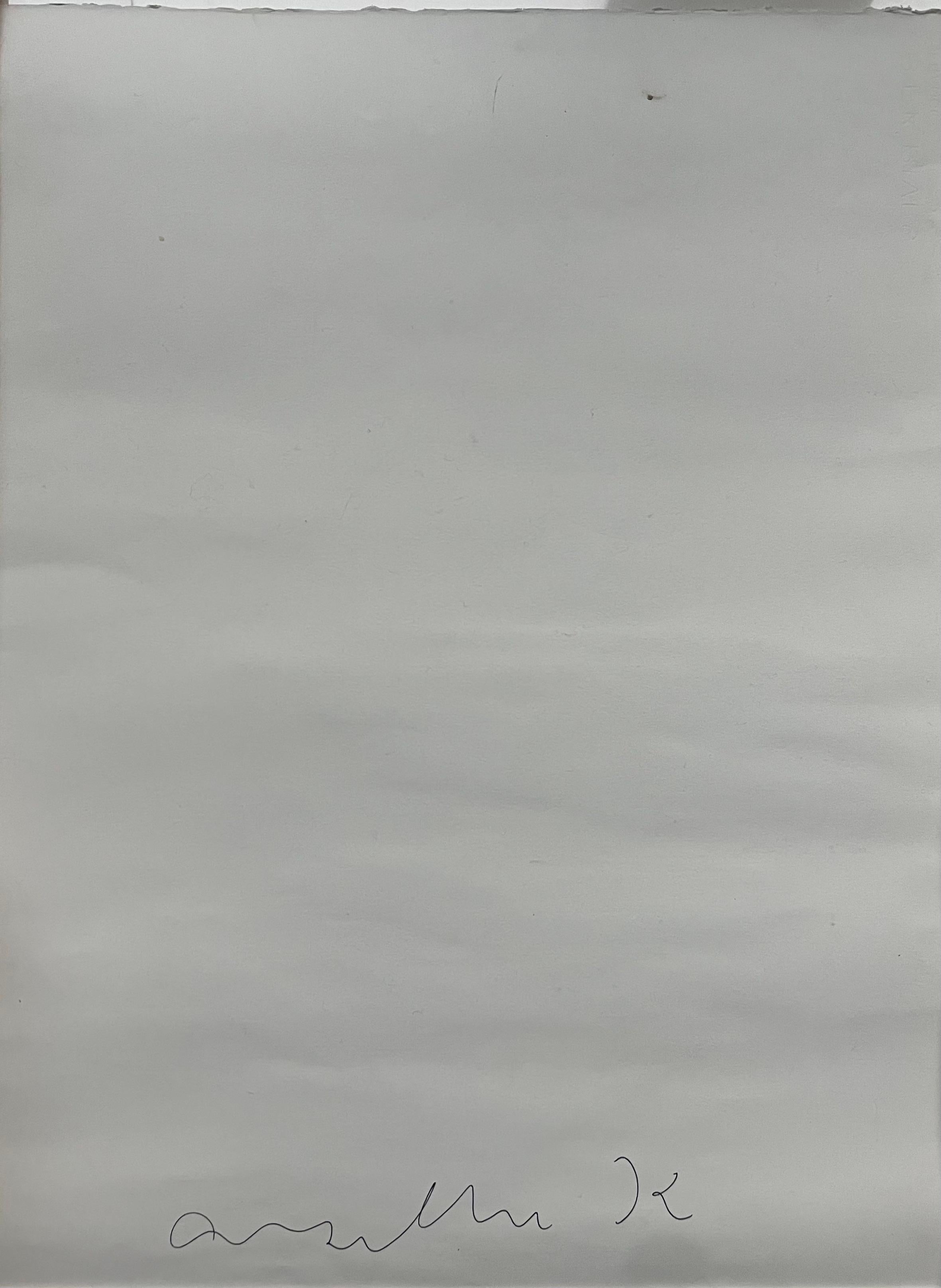 Anselm Kiefer, rara serigrafia su carta in vendita 6
