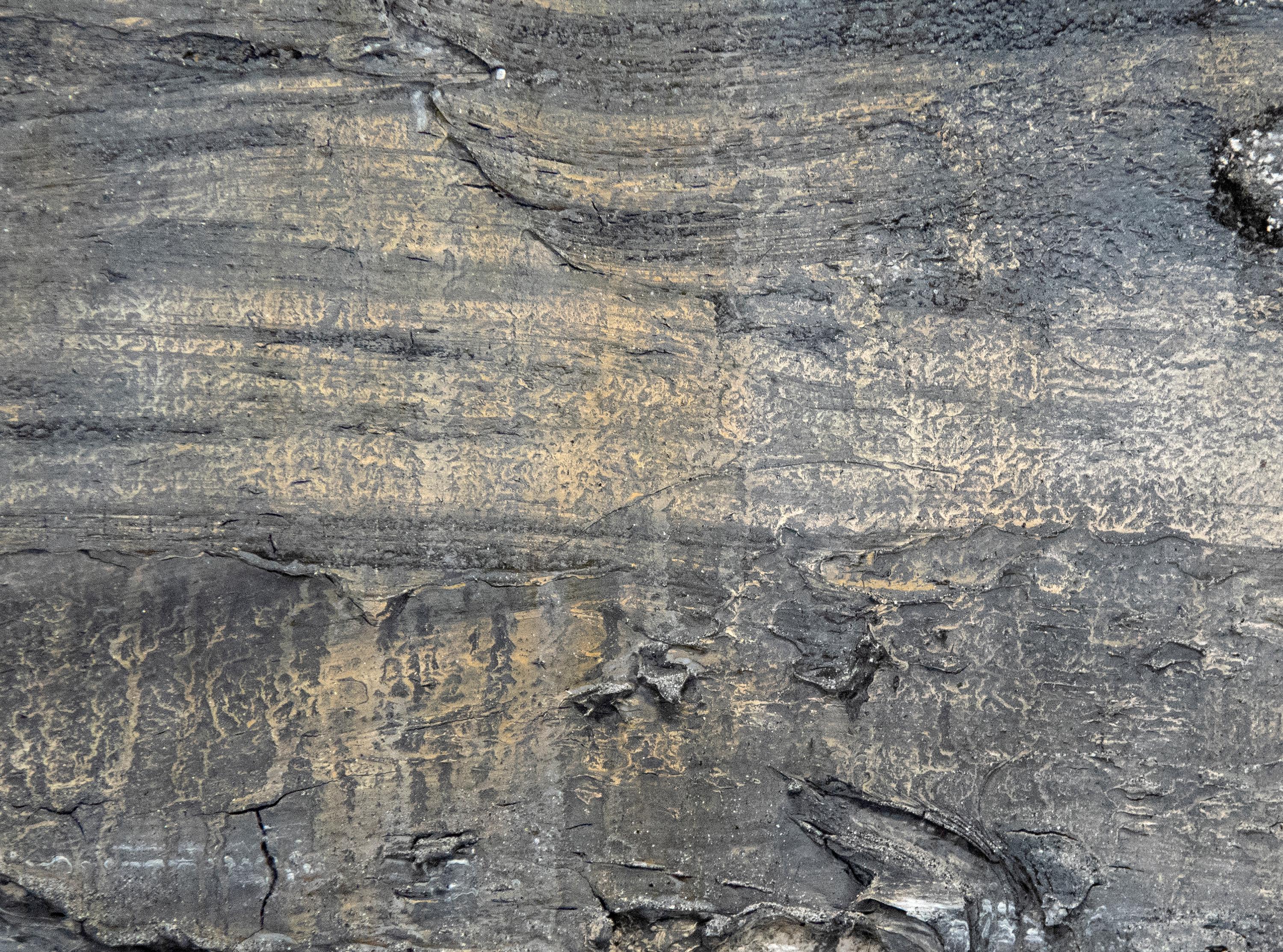 anselm kiefer texture