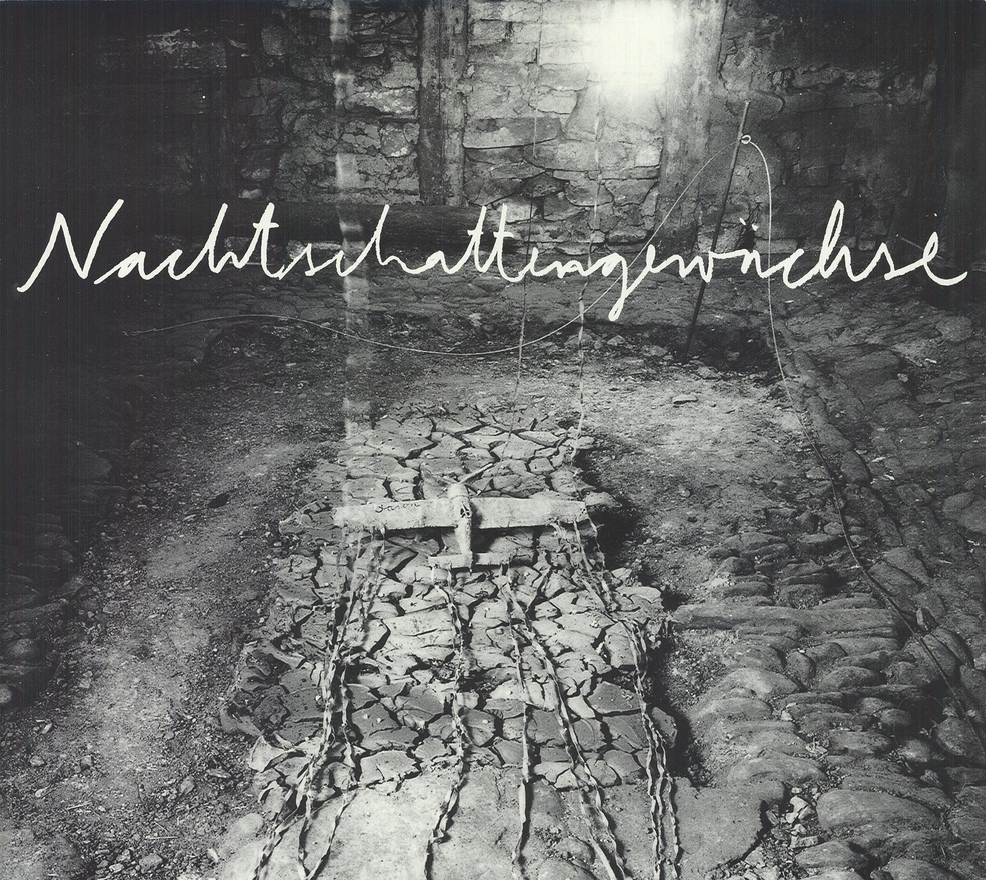 Anselm Kiefer 'Yvon Lambert Gallery' For Sale 3