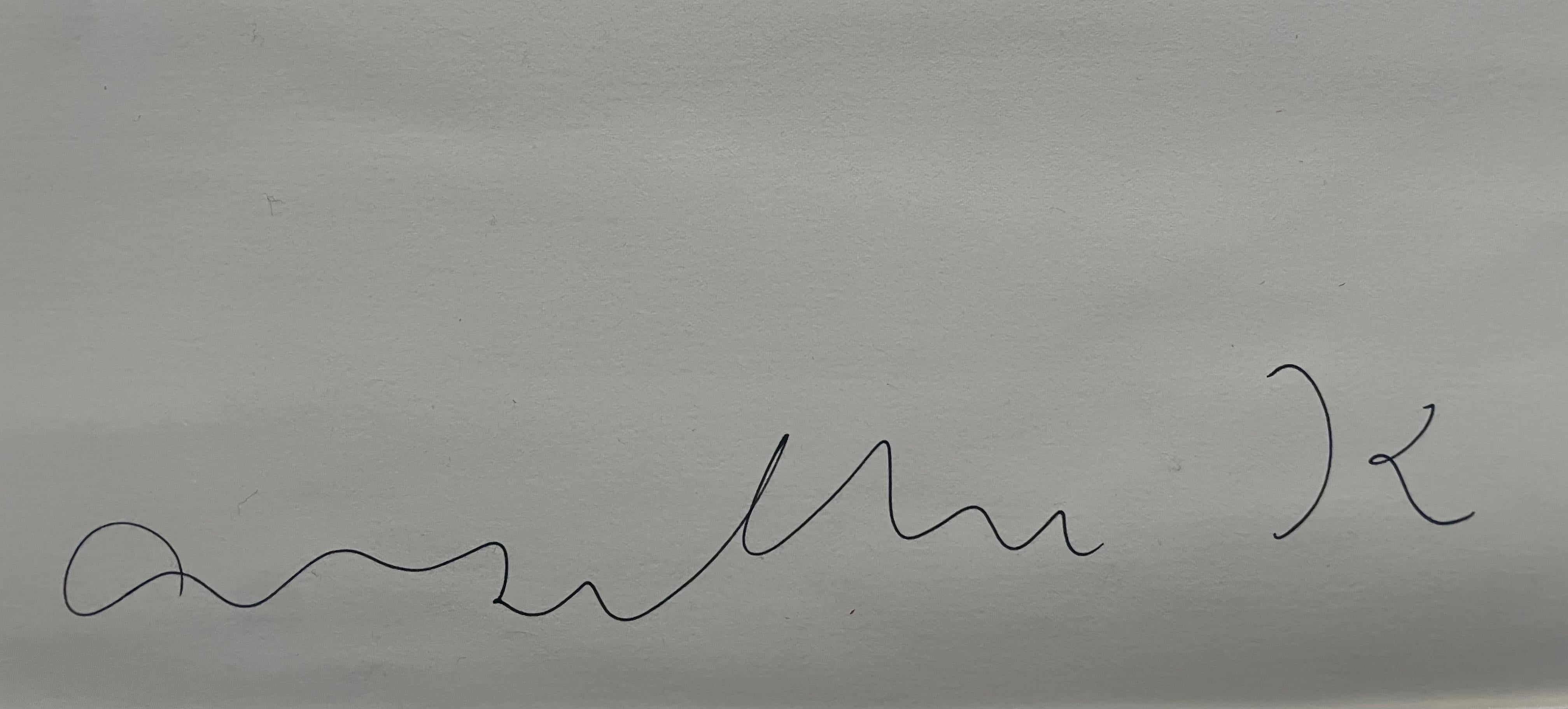 Carta Anselm Kiefer, rara serigrafia su carta in vendita