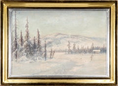Mountain Winter Landscape