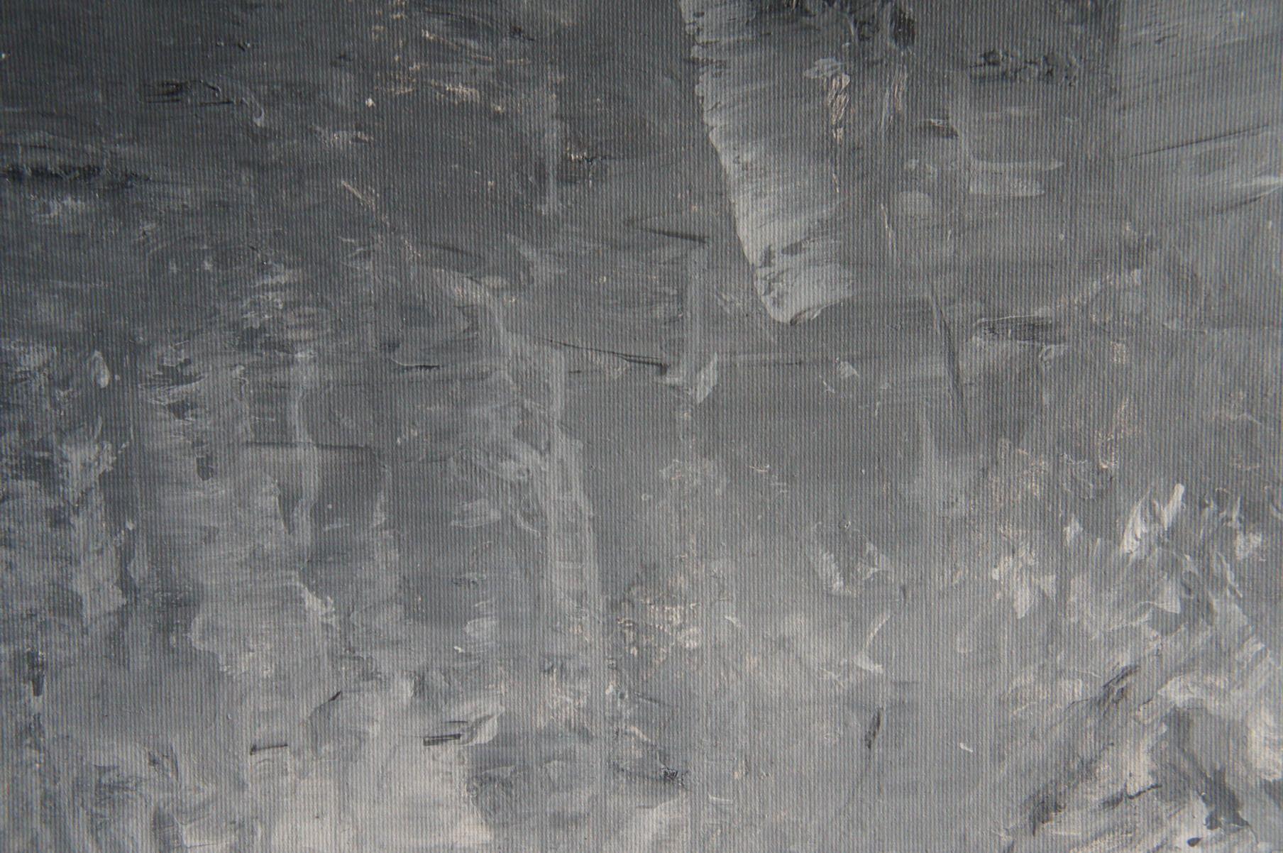 Llanura abierta I, Pintura, Acrílico sobre lienzo - Abstract Painting Negro de Ansgar Dressler