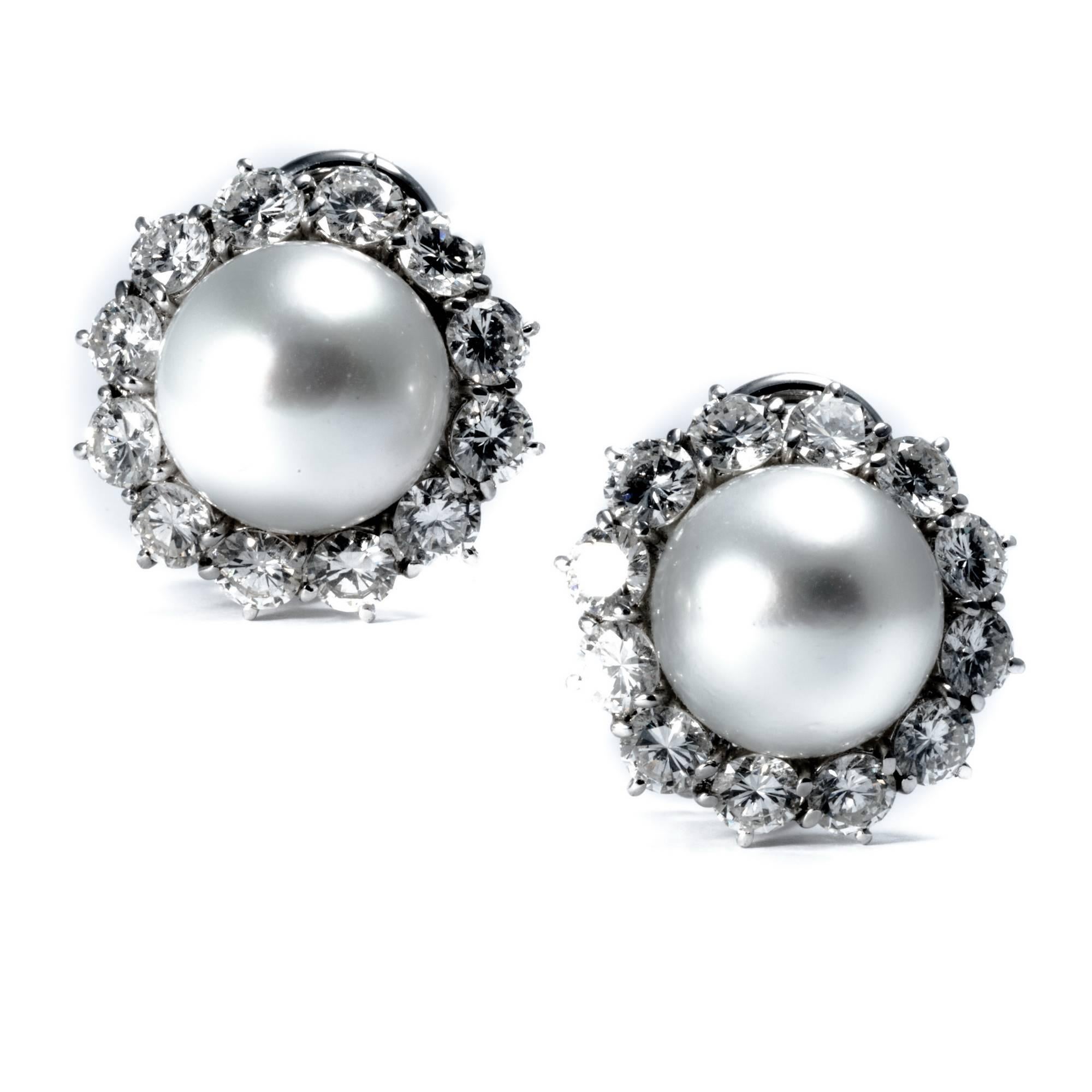 Ansuini Classic 1960 Pearl and Diamond Platinum Studs Earrings 1