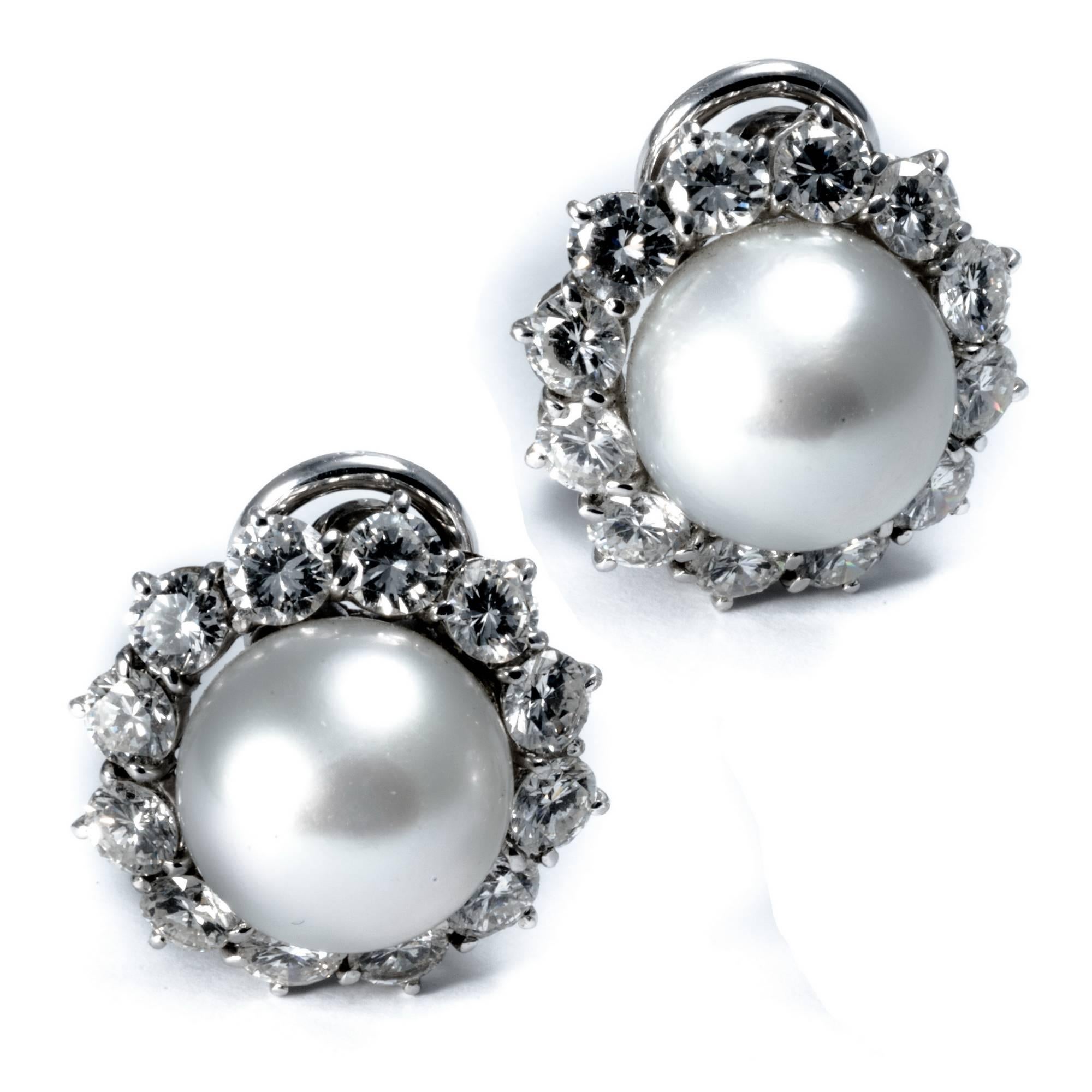 Ansuini Classic 1960 Pearl and Diamond Platinum Studs Earrings 3