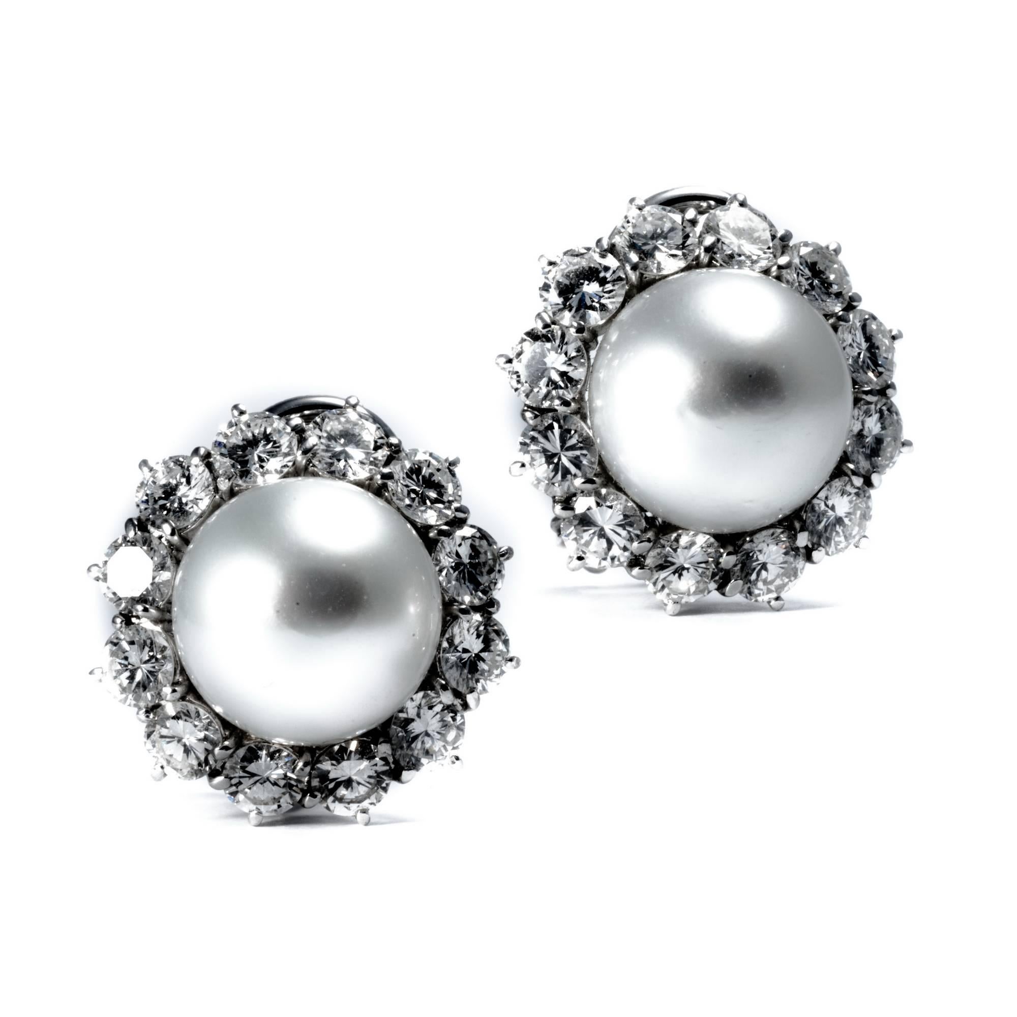 Ansuini Classic 1960 Pearl and Diamond Platinum Studs Earrings 4