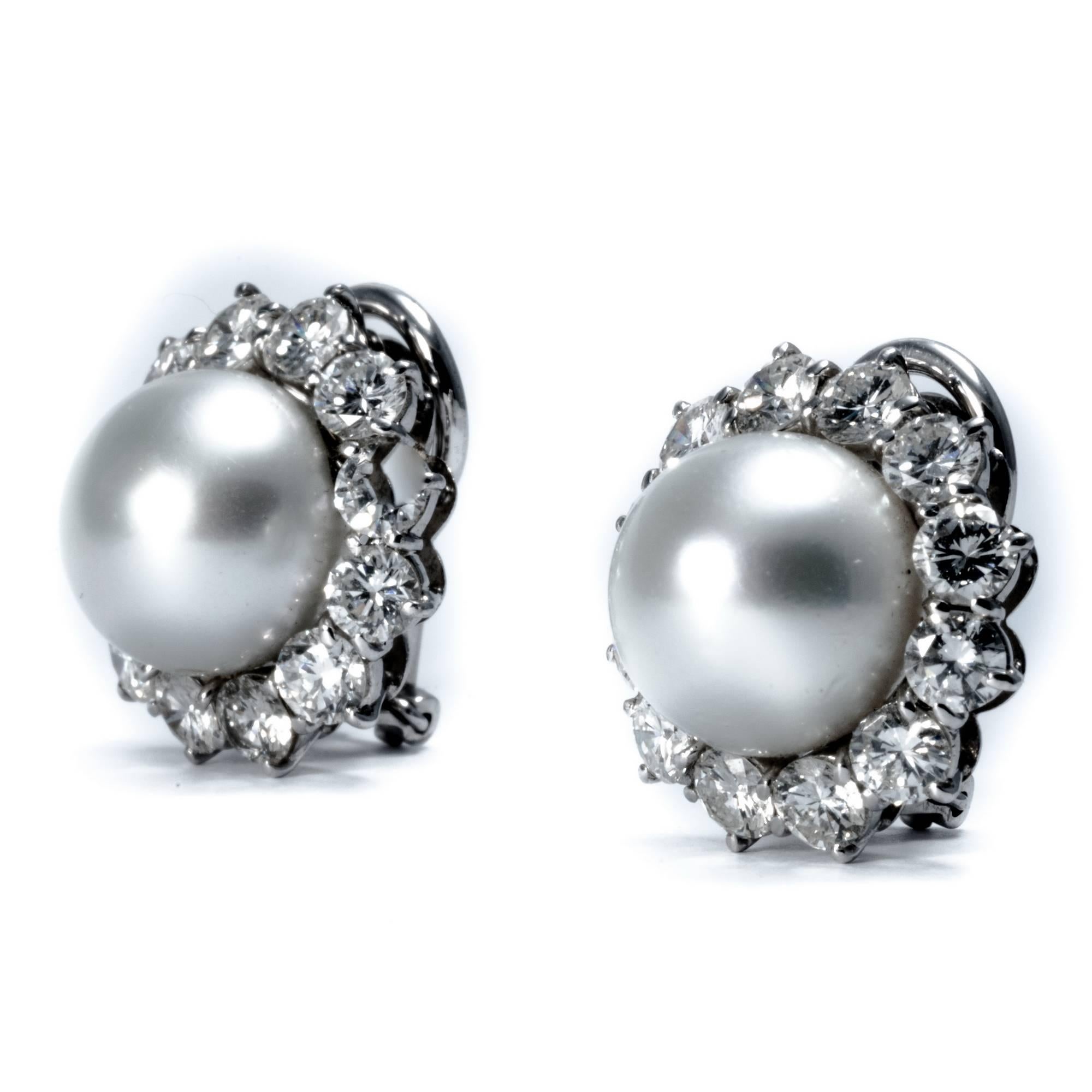 Ansuini Classic 1960 Pearl and Diamond Platinum Studs Earrings 5