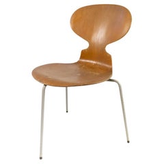 Ant Chair, Model 3101, in Light Wood, by Arne Jacobsen, 1950s