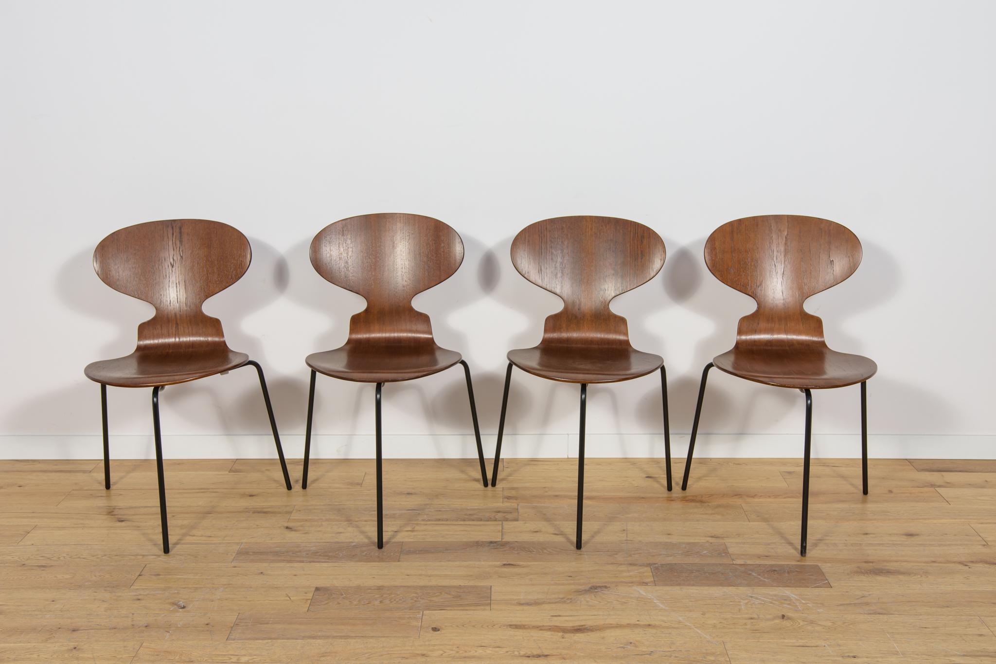 Mid-Century moderno Sedia Ant Modello 3101 in teak di Arne Jacobsen per Fritz Hansen, anni '70, Danimarca. in vendita