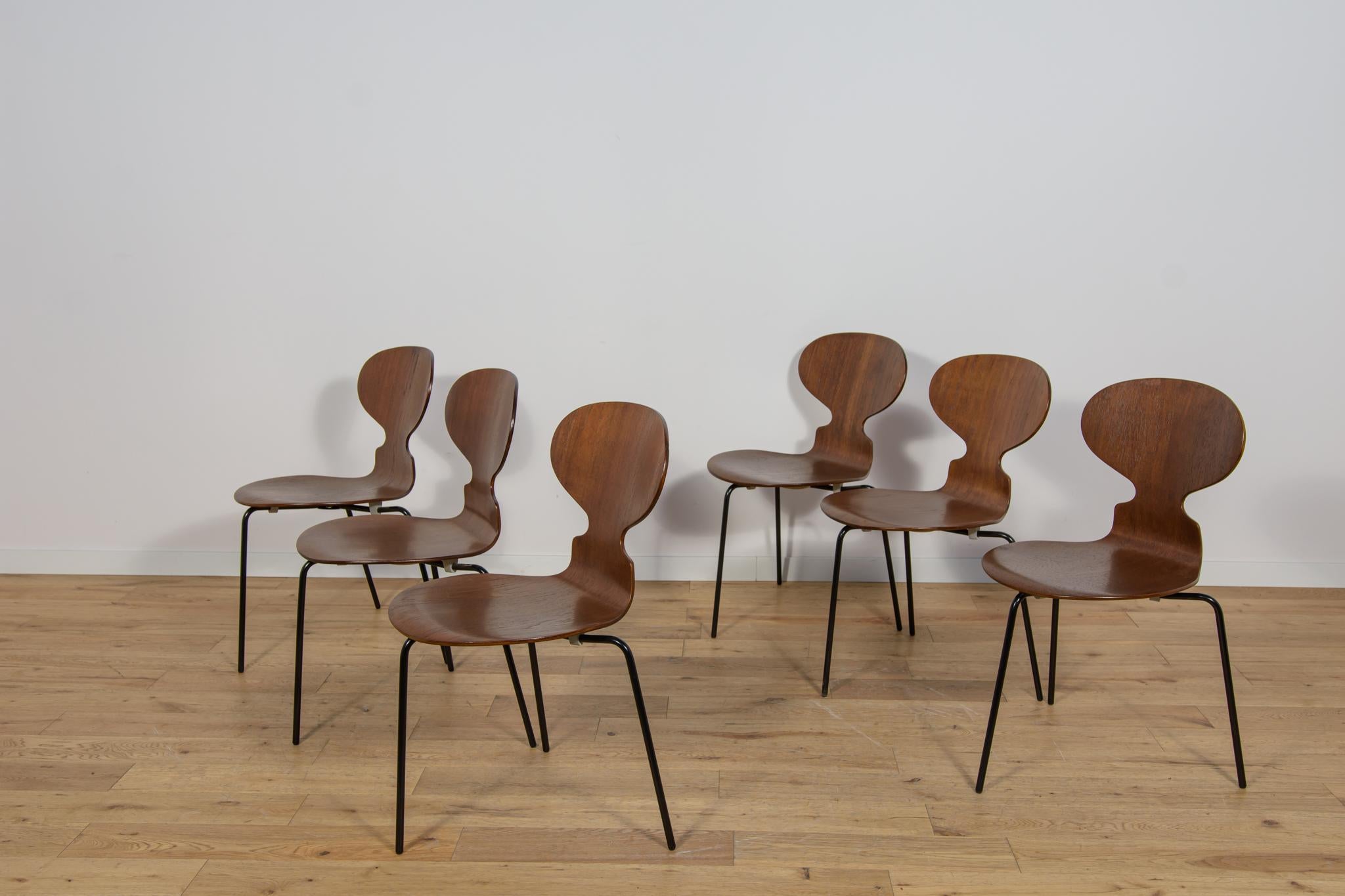 Mid-Century moderno Sedia Ant Modello 3101 in teak di Arne Jacobsen per Fritz Hansen, anni '70, Danimarca. in vendita