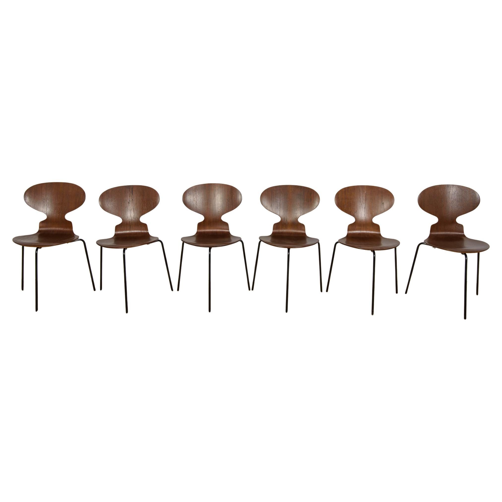 Ant Chair Model 3101 in Teak by Arne Jacobsen for Fritz Hansen, 1970s, Denmark.