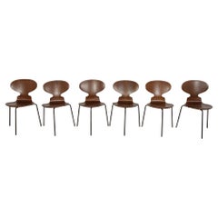 Ant Chair Model 3101 in Teak by Arne Jacobsen for Fritz Hansen, 1970s, Denmark.