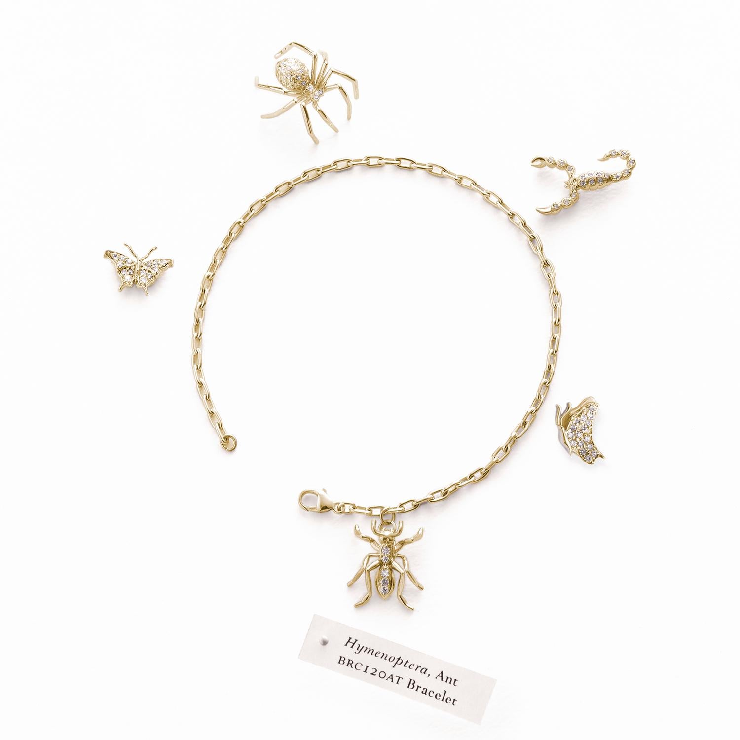 Introducing our exquisite Ant Charm Bracelet, a captivating piece that exudes elegance and charm. Crafted from 14k yellow gold, this limited edition bracelet is a true work of art, designed to make a lasting impression.

At its center, the bracelet