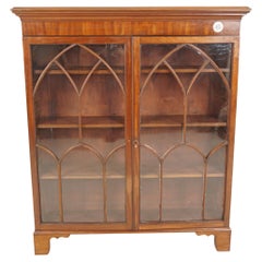Ant. Victorian Walnut 2 Door Cabinet Bookcase, Display, Scotland 1890, H707