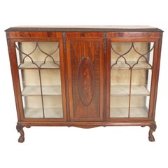 Ant. Walnut Display Case, China Cabinet, Bookcase, Scotland 1910, H788