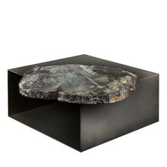 Table basse Antarticos