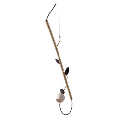 Anthology Brass Hanging Light Objects for Objects for Periclis Frementitis
