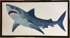 "White on White" contemporary realist Great White Shark on White background