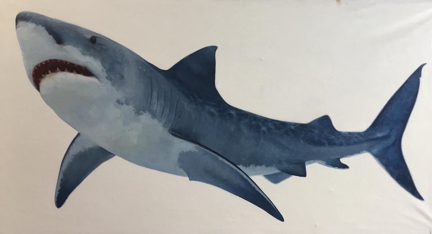 "Weiß auf Weiß" zeitgenössischer realistischer Großer Weißer Hai auf weißem Hintergrund