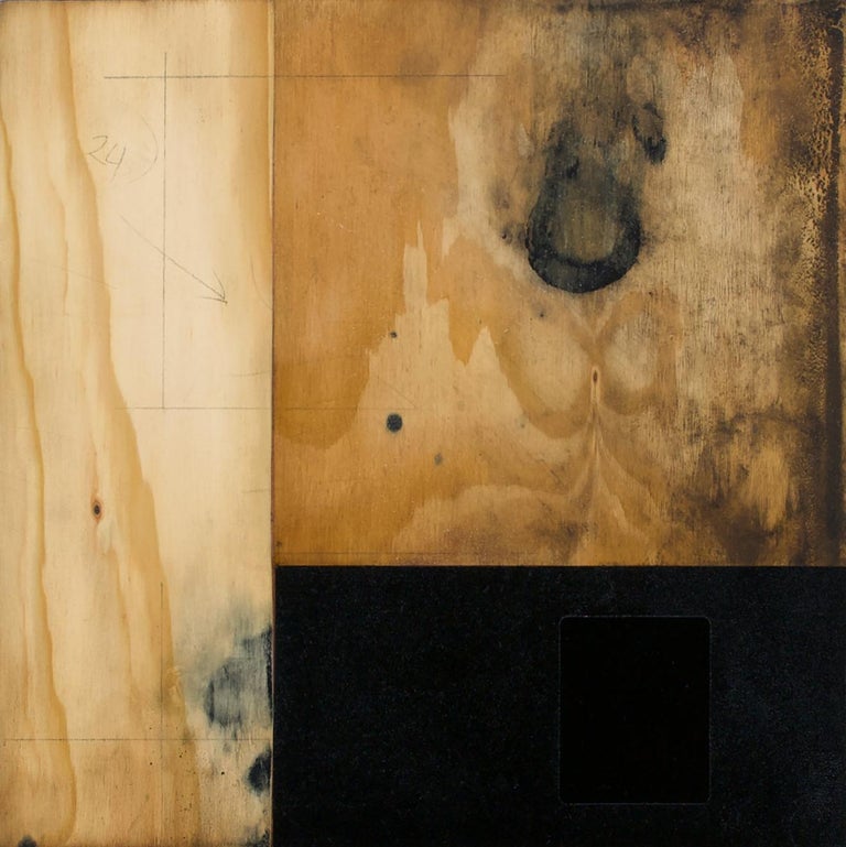 Anthony Adcock Plywood (Oil) For Sale at 1stDibs