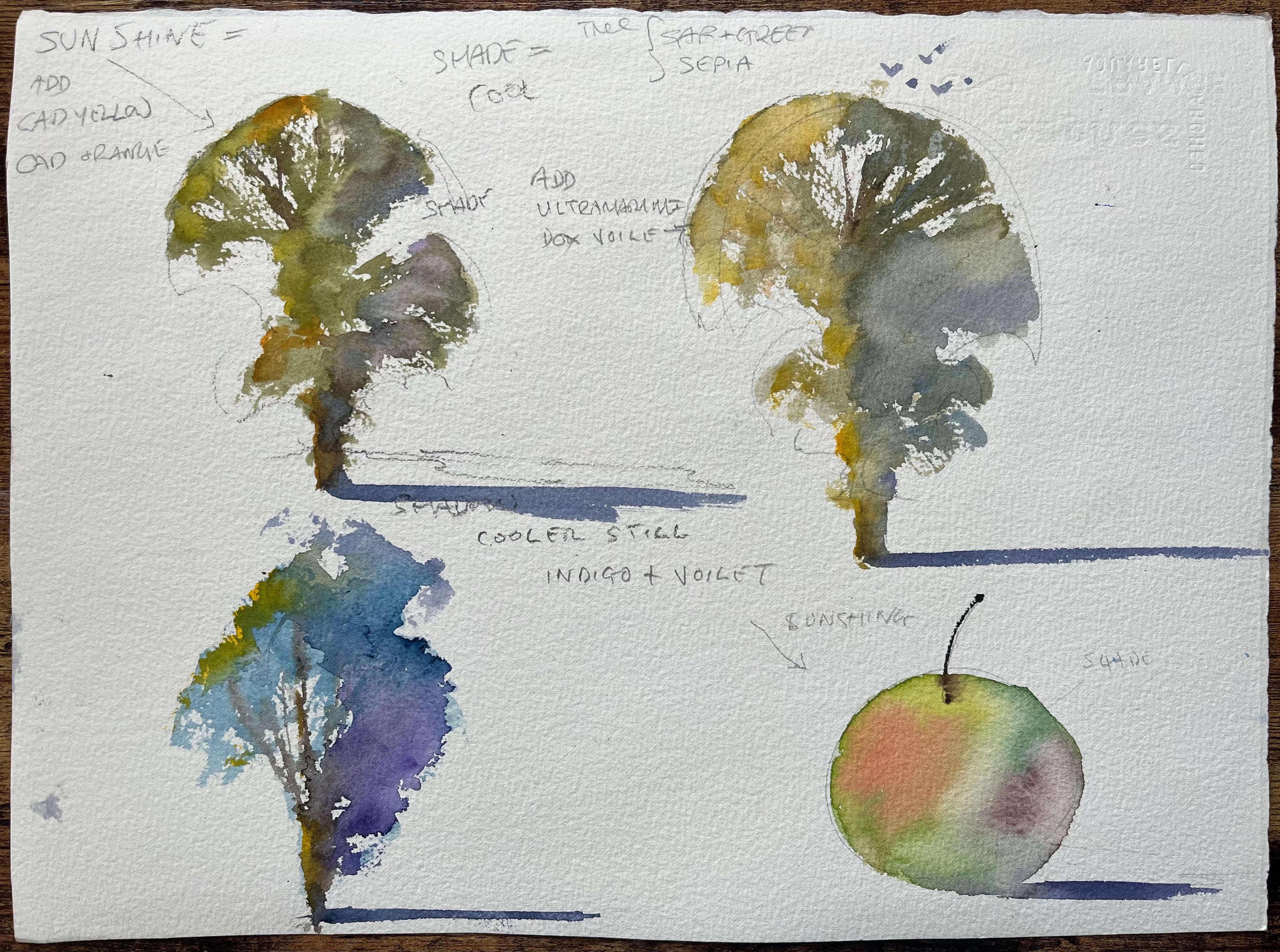 Aquarelle impressionniste britannique d'un chemin de bois en forme de cloche bleue en lumière de printemps en vente 2