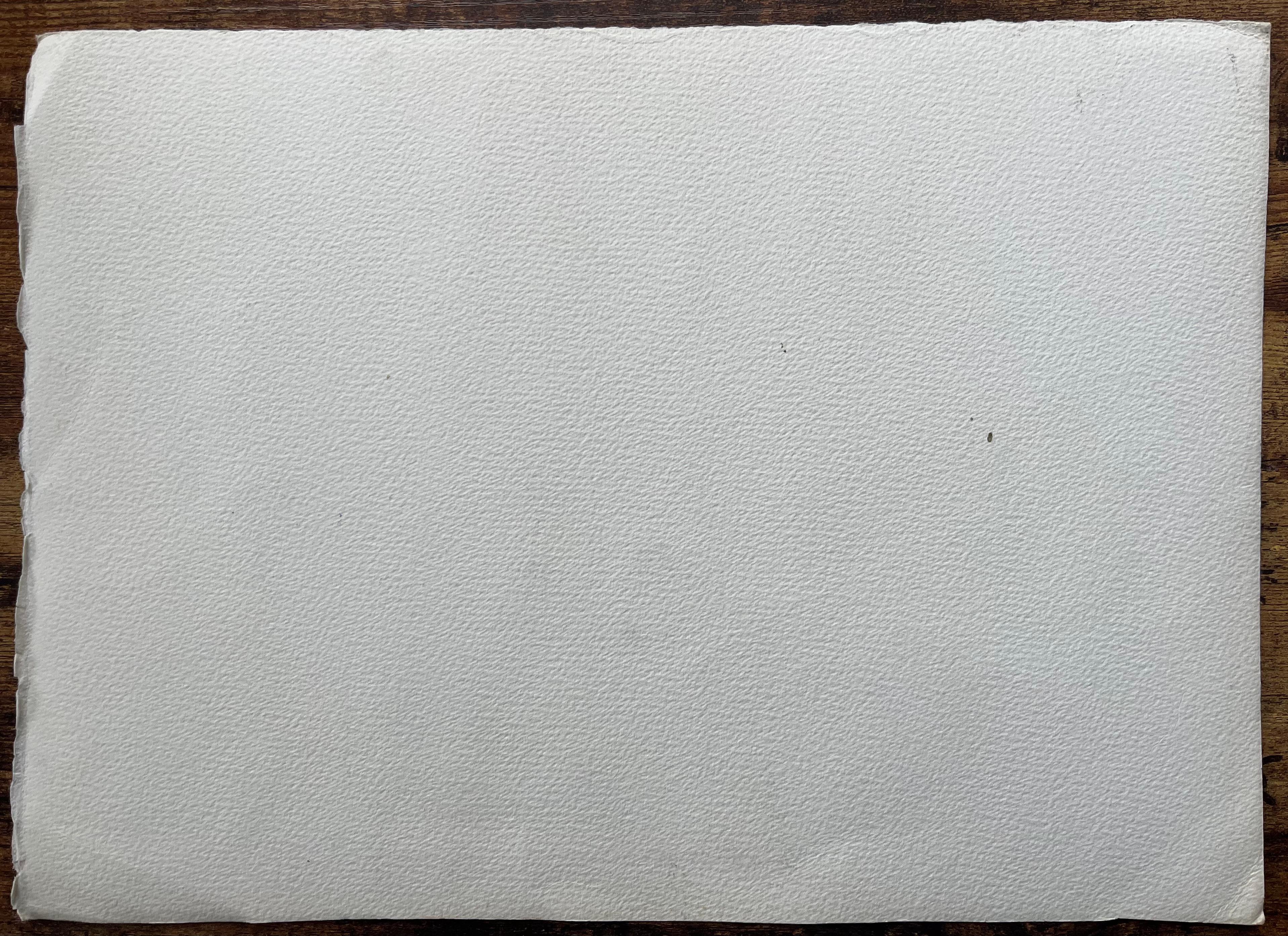 Aquarelle impressionniste britannique d'un pont de campagne avec un cottage en vente 2