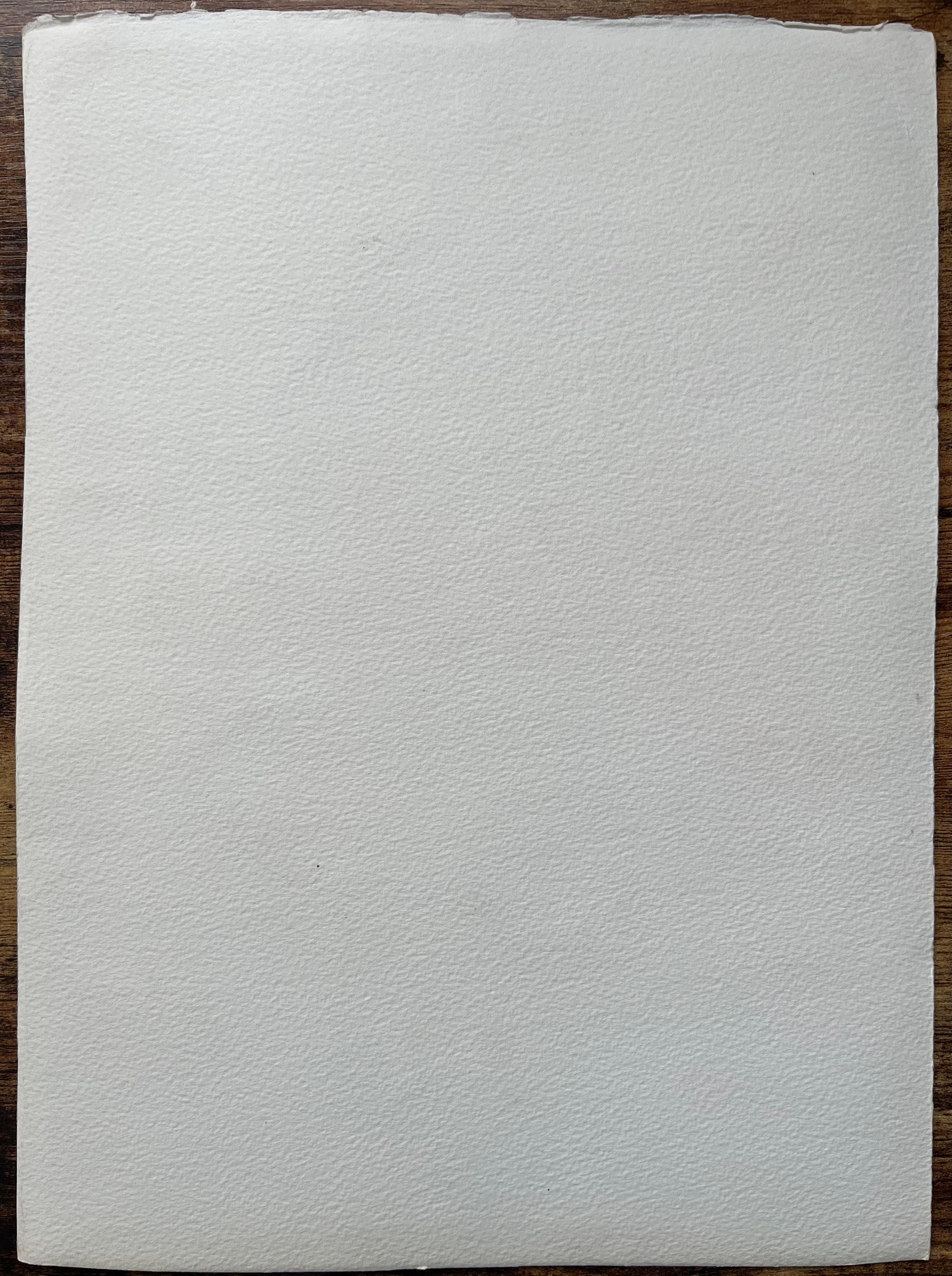 Britischer Impressionist Aquarell einer Blumentreppe und Häuschen im Angebot 2