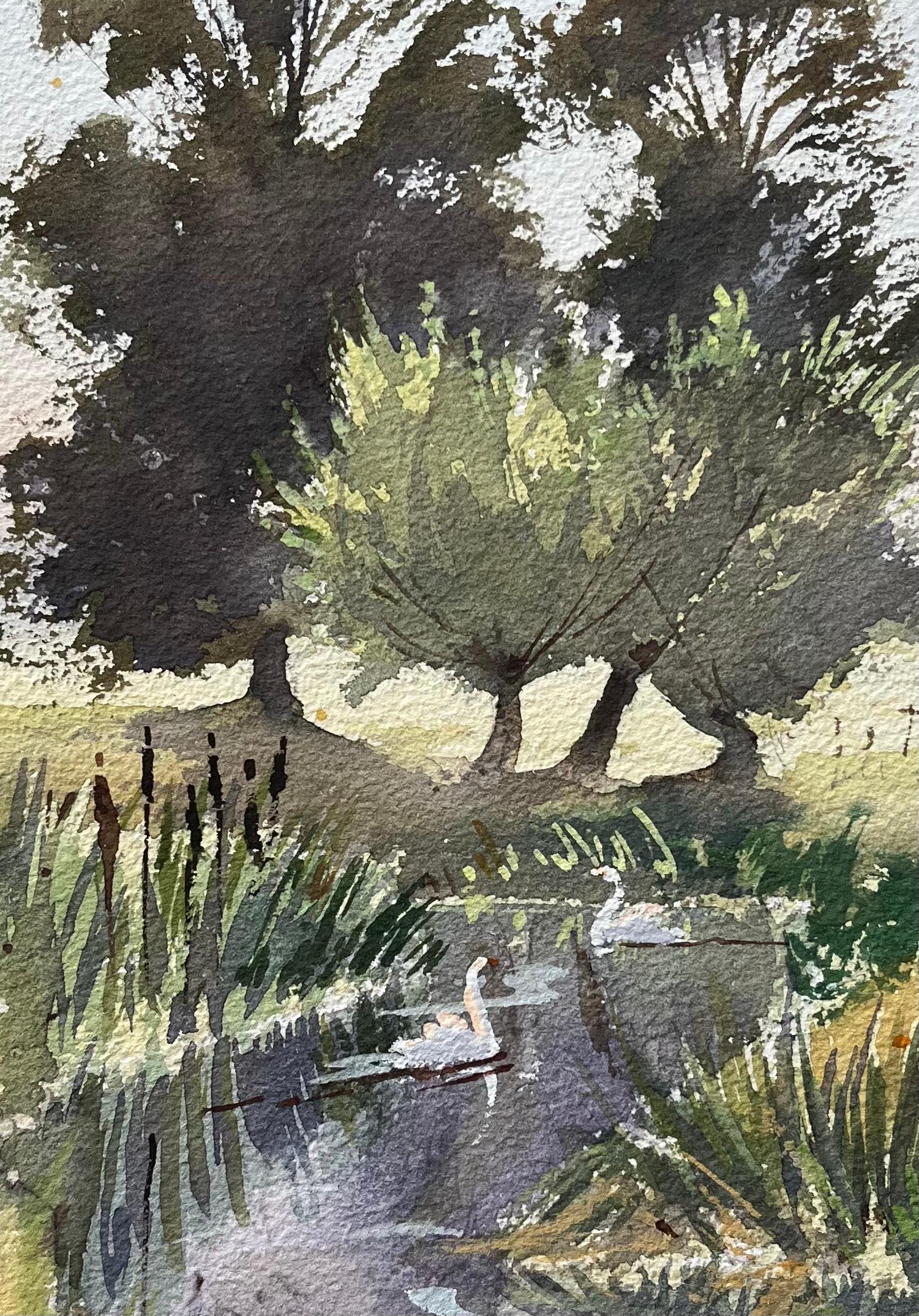 Acquerello impressionista britannico di un'idilliaca scena di fiume con cigni - Landscape Painting Grigio di Anthony Avery