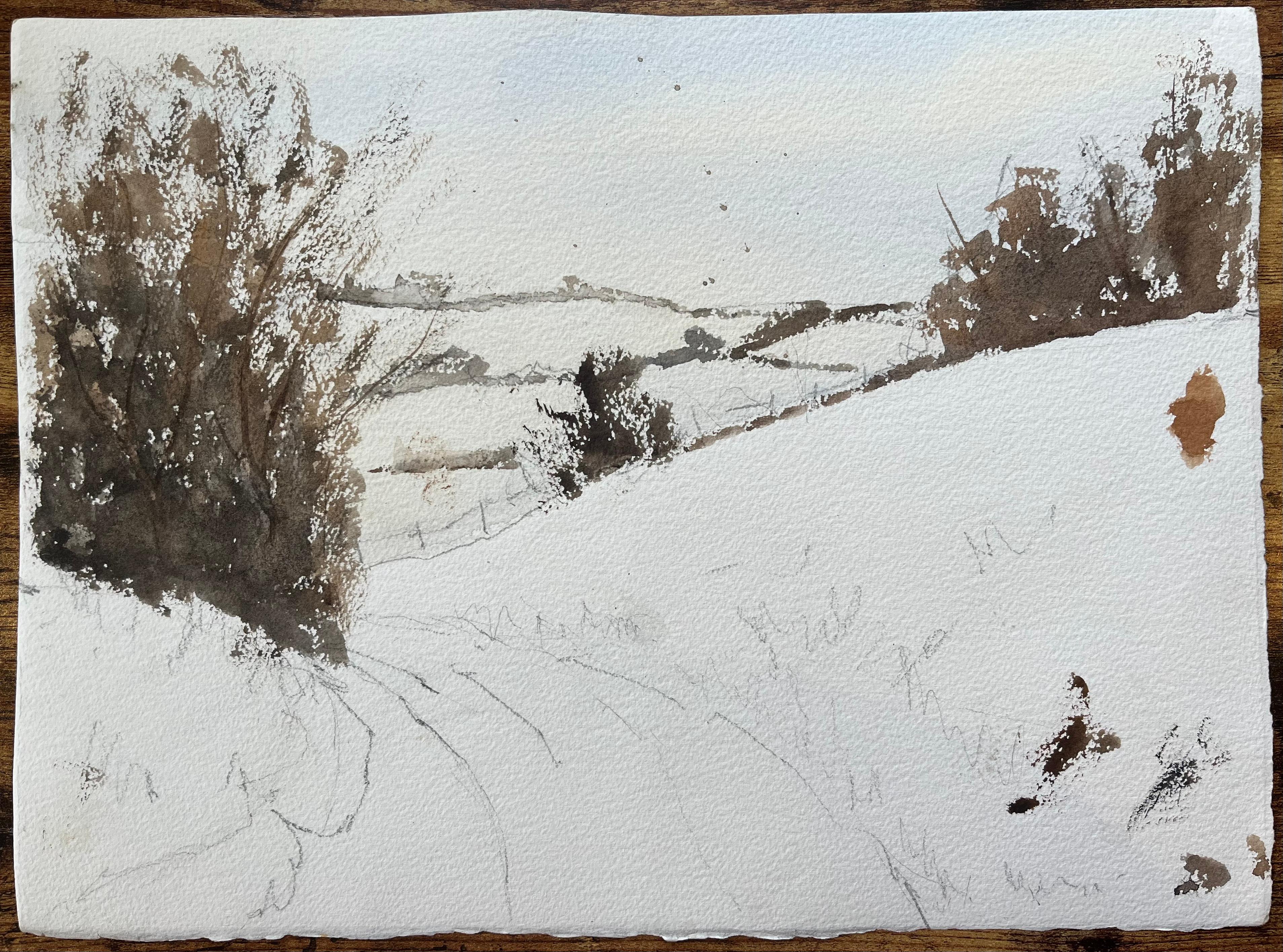 British Impressionist Watercolor of a Playful Canine in Motion For Sale 2