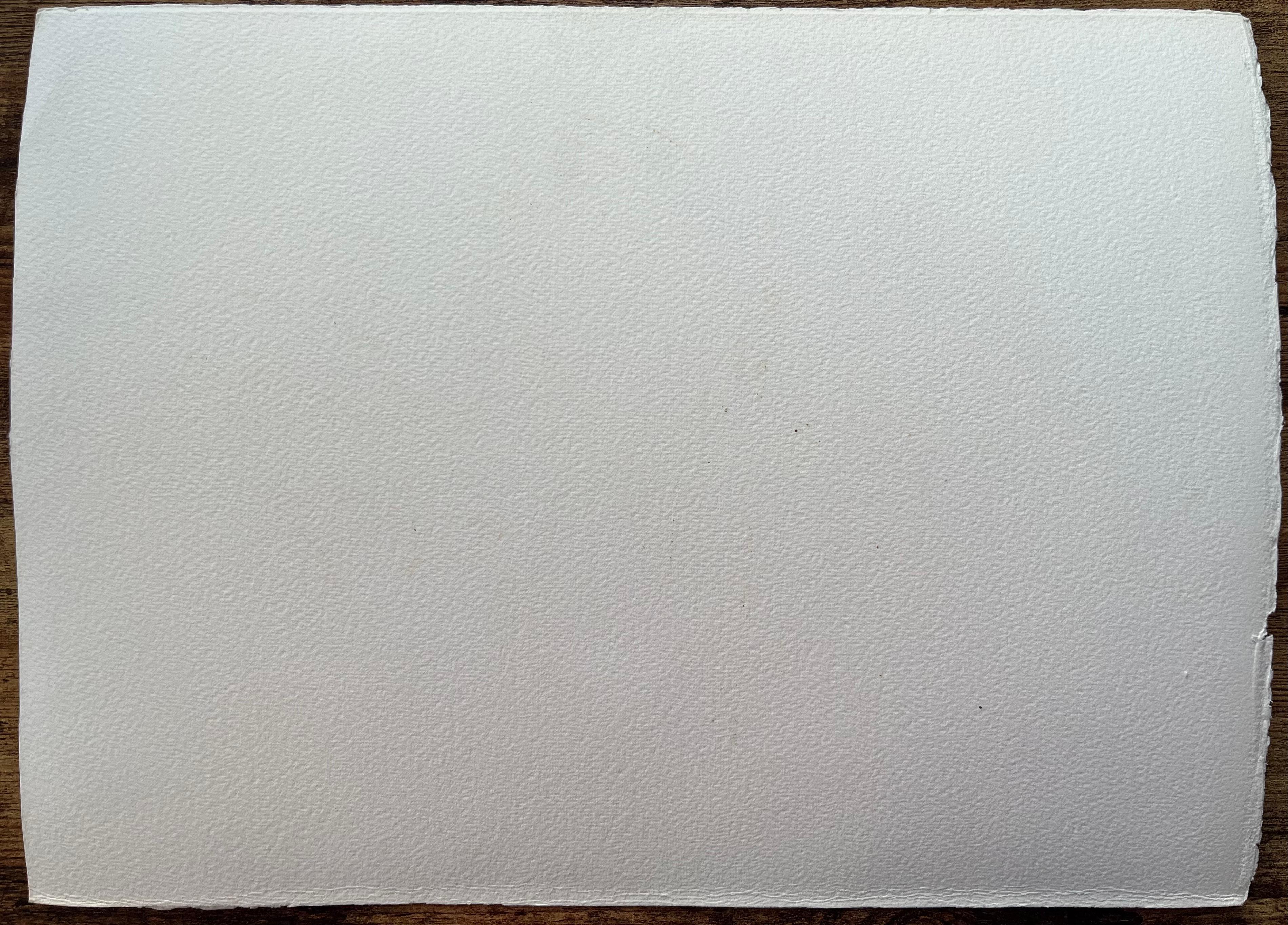 Britisches impressionistisches Aquarell eines Reiters, eines Pferdes und eines Hundes in der Landschaft im Angebot 2