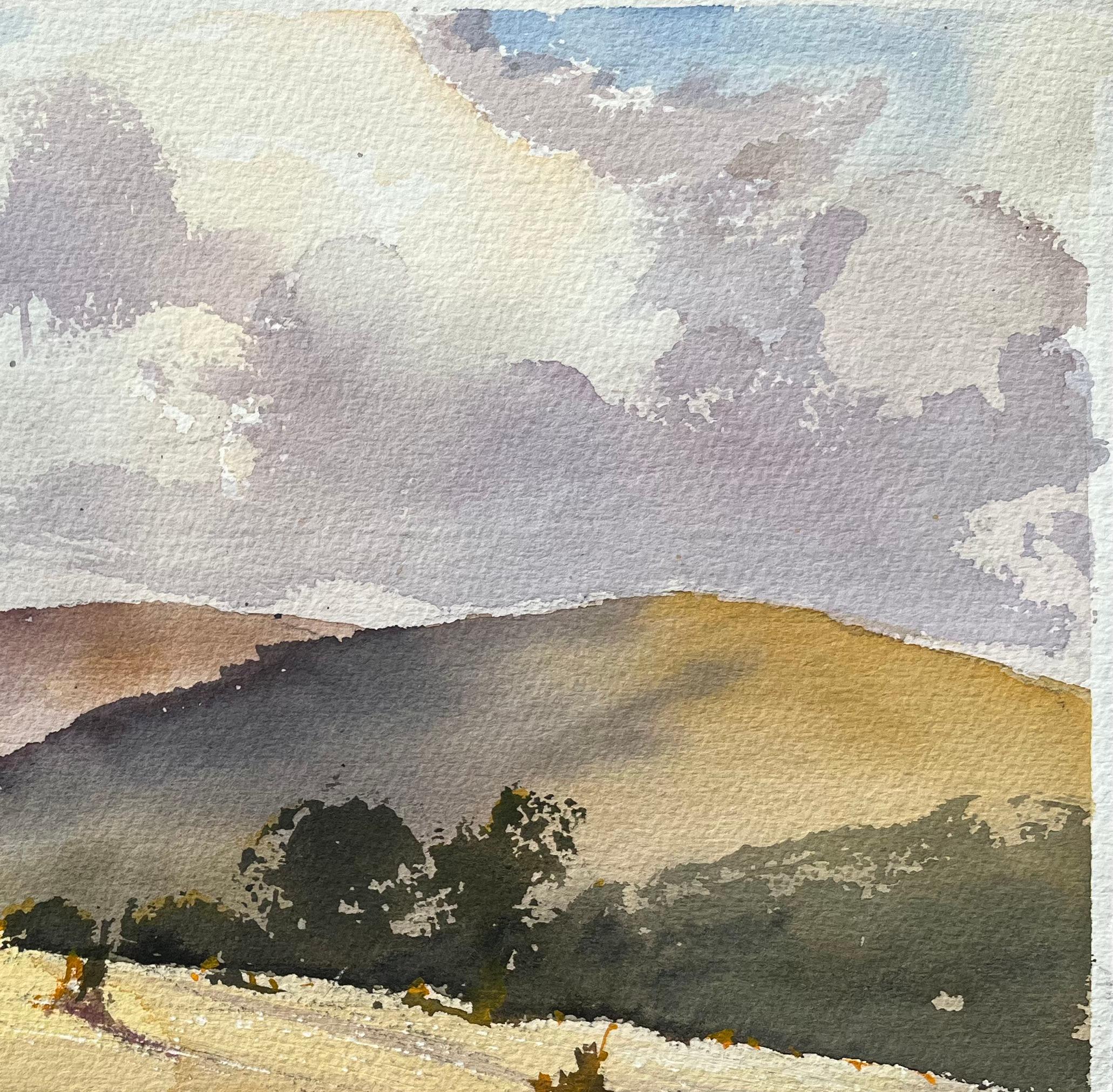 Título: Acuarela impresionista británica de una serena escena campestre en época de cosecha
Por Anthony Avery (británico 1946-2023)
Acuarela original sobre papel de artista, sin enmarcar
Dimensiones: 11,25 x 15 pulgadas (Alto x Ancho)
Estado: Bueno,